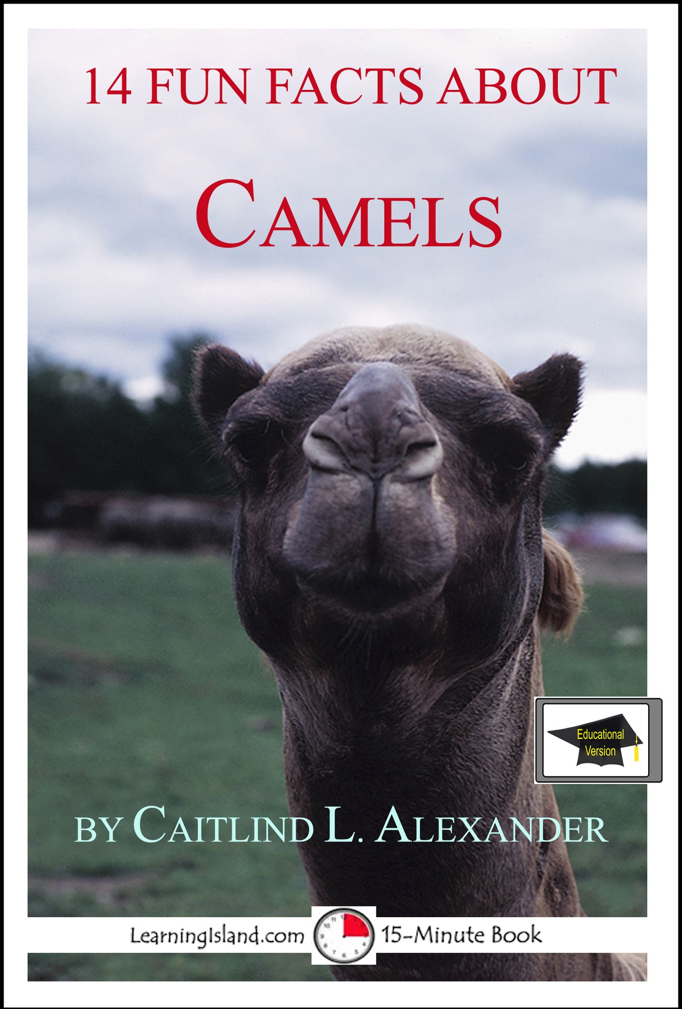 14 Fun Facts About Camels: Educational Version