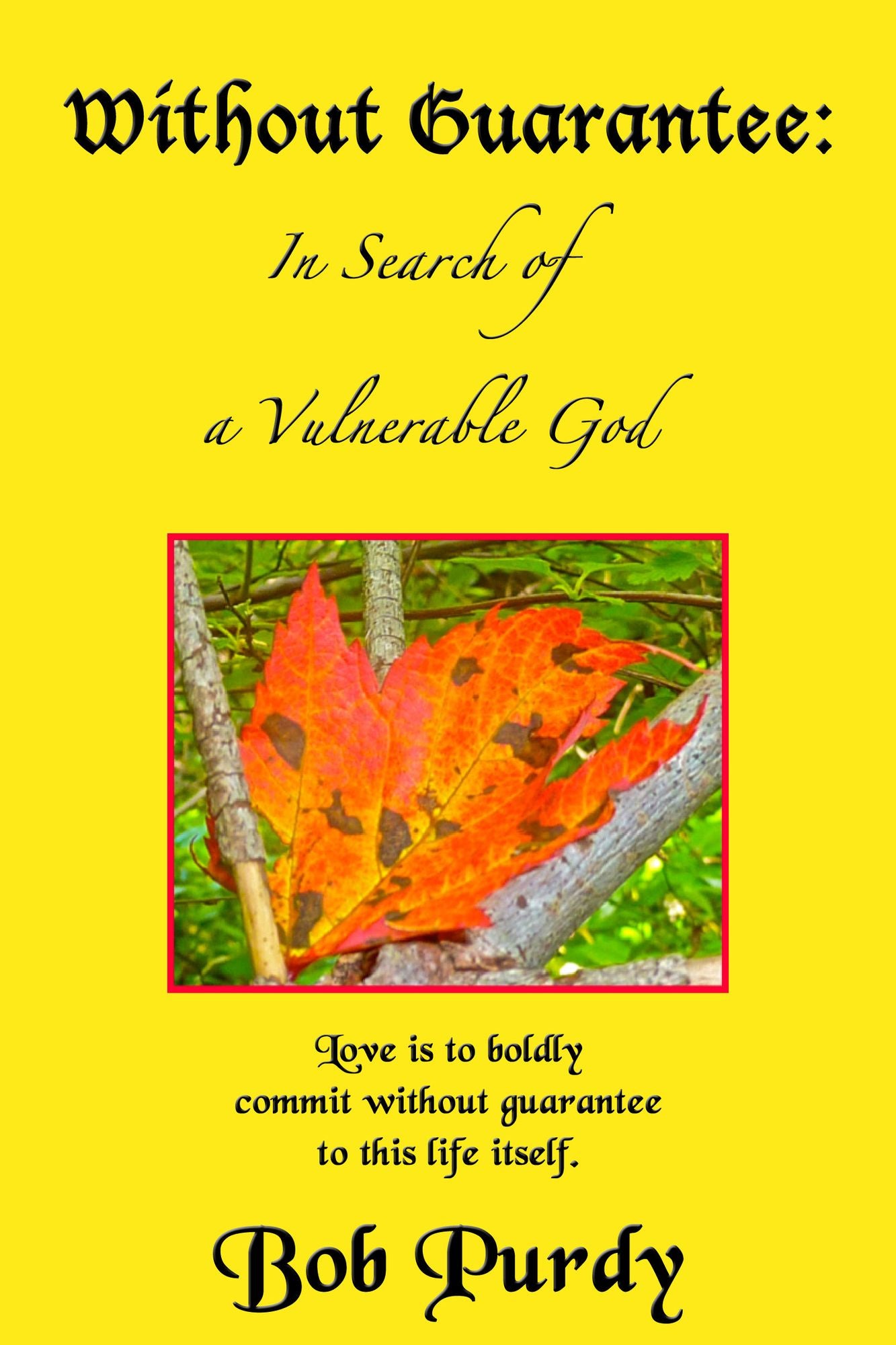 Without Guarantee: in search of a vulnerable God