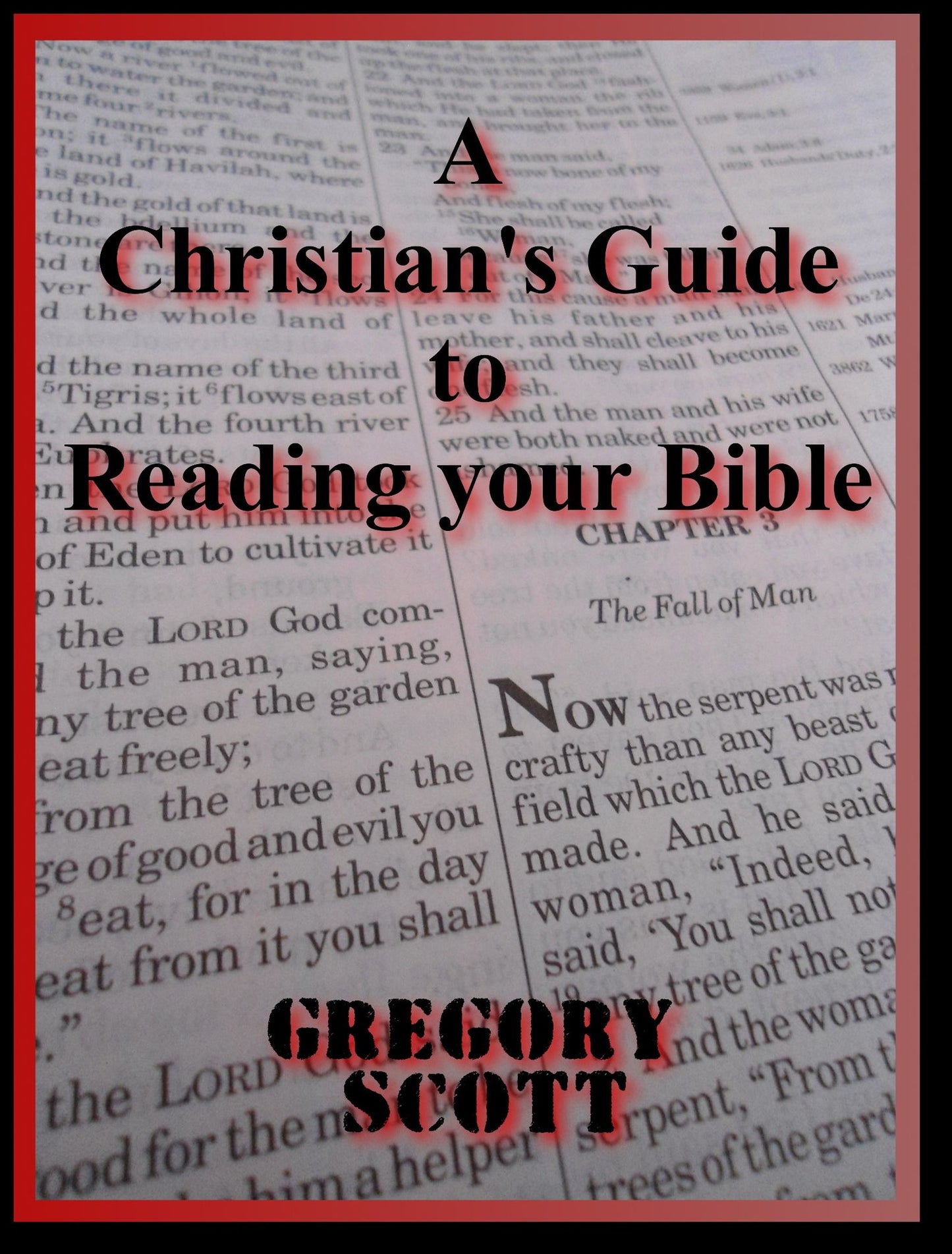 A Christian's Guide To Reading Your Bible