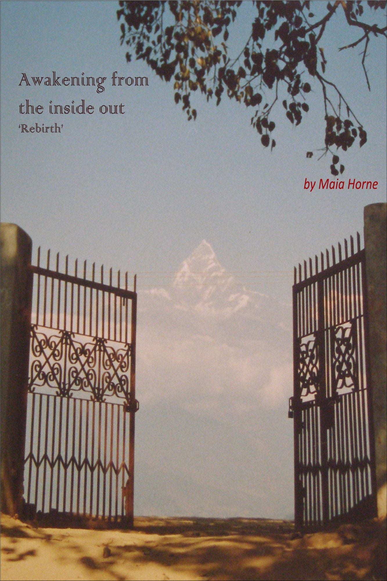 Awakening From The Inside Out 'Rebirth'