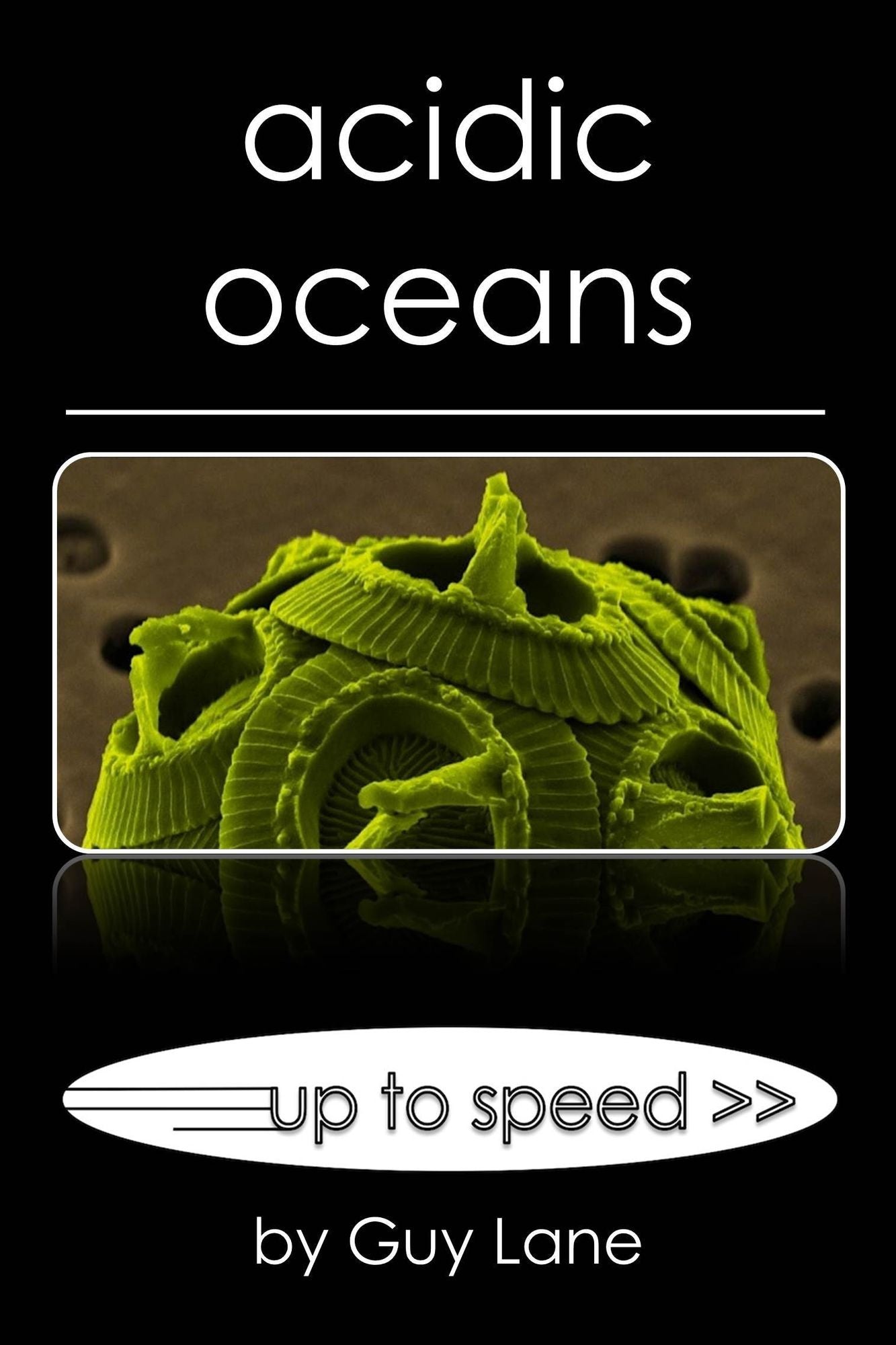 Acidic Oceans