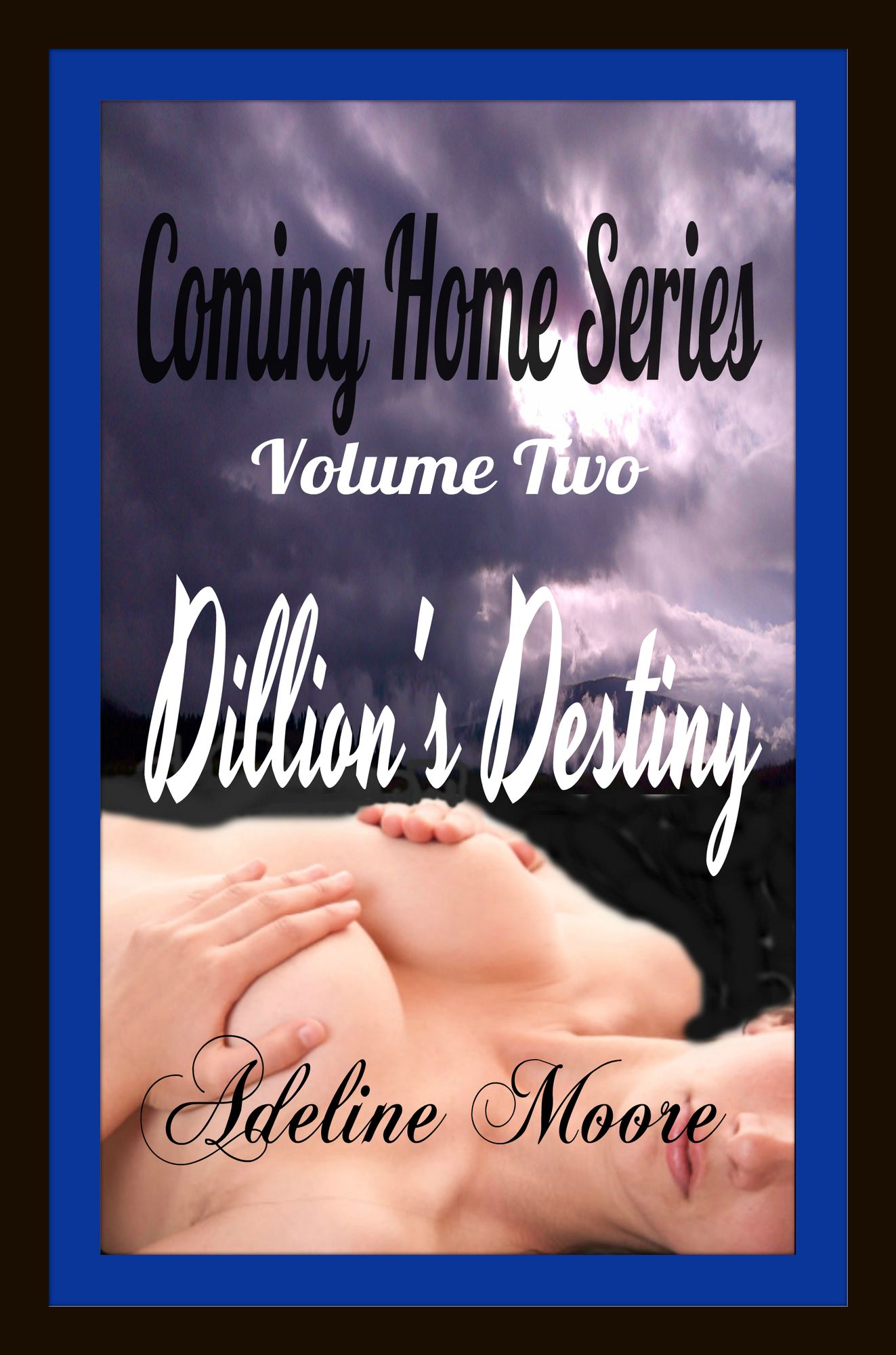 Coming Home Series Volume Two Dillon's Destiny