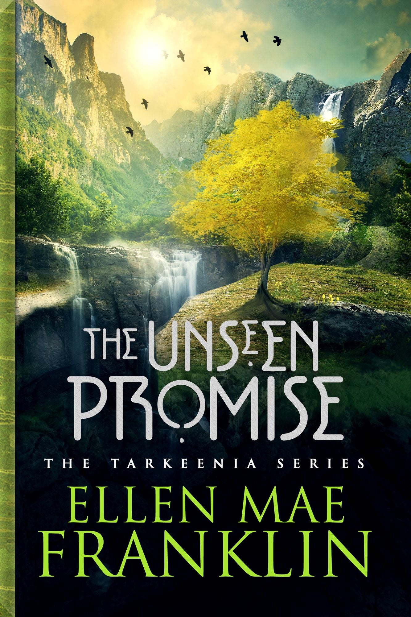 The Unseen Promise