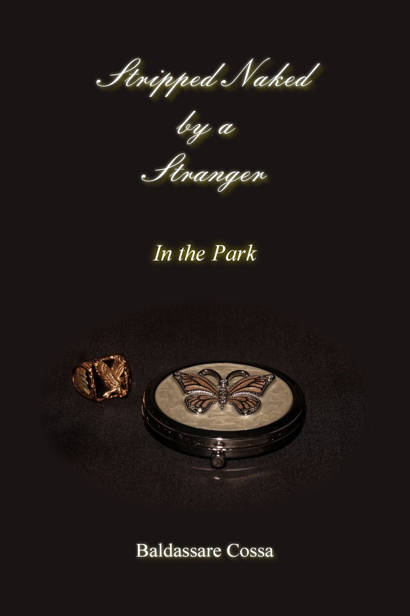 Stripped Naked by a Stranger in the Park