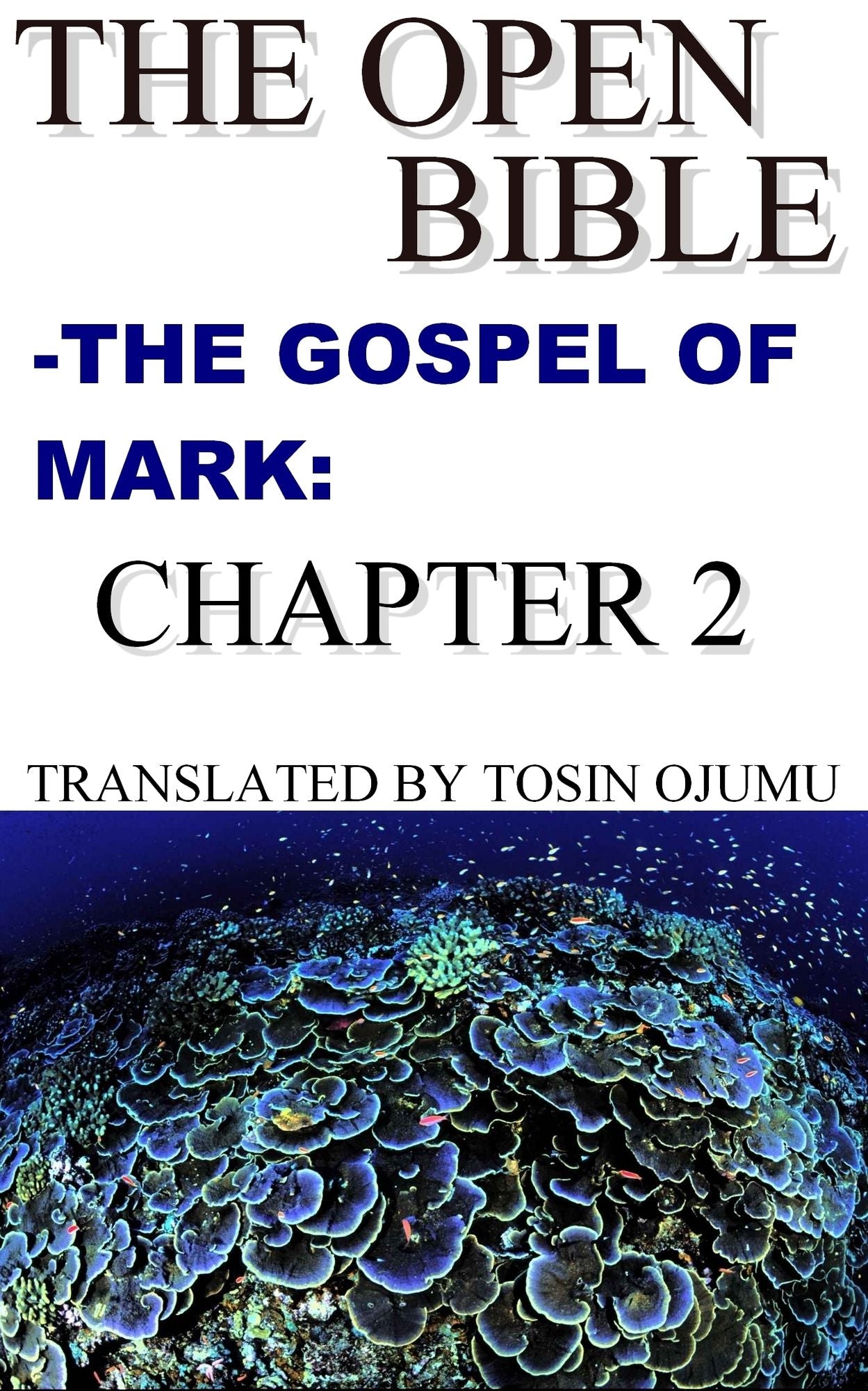 The Open Bible: The Gospel of Mark: Chapter 2
