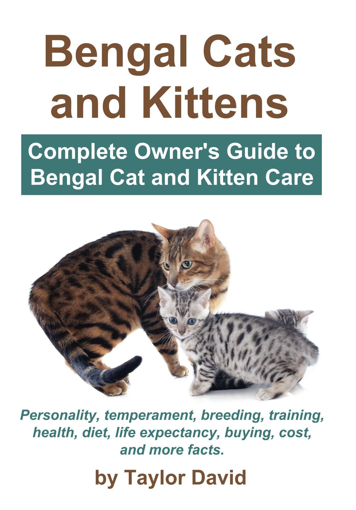 Bengal Cats and Kittens