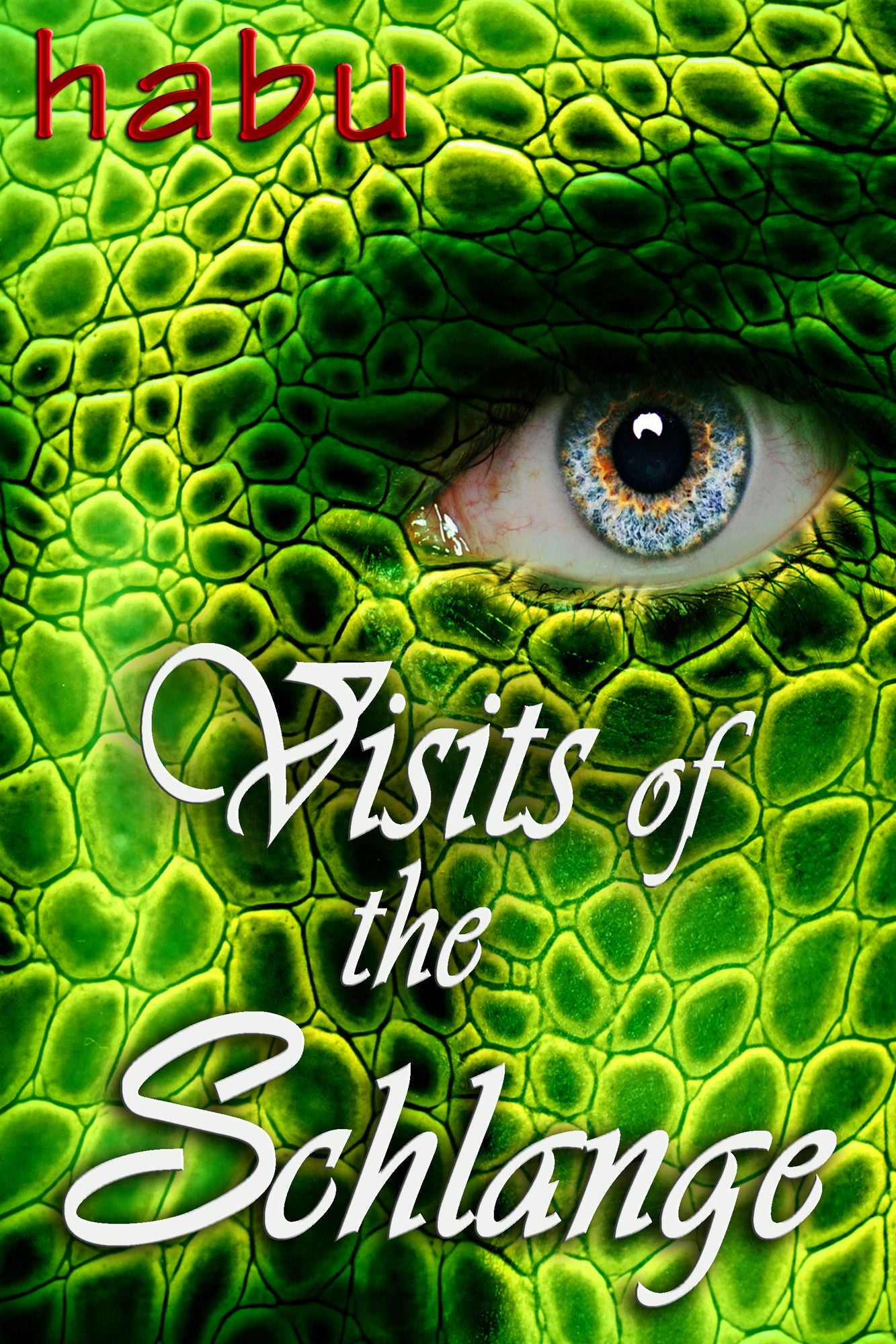 Visits of the Schlange