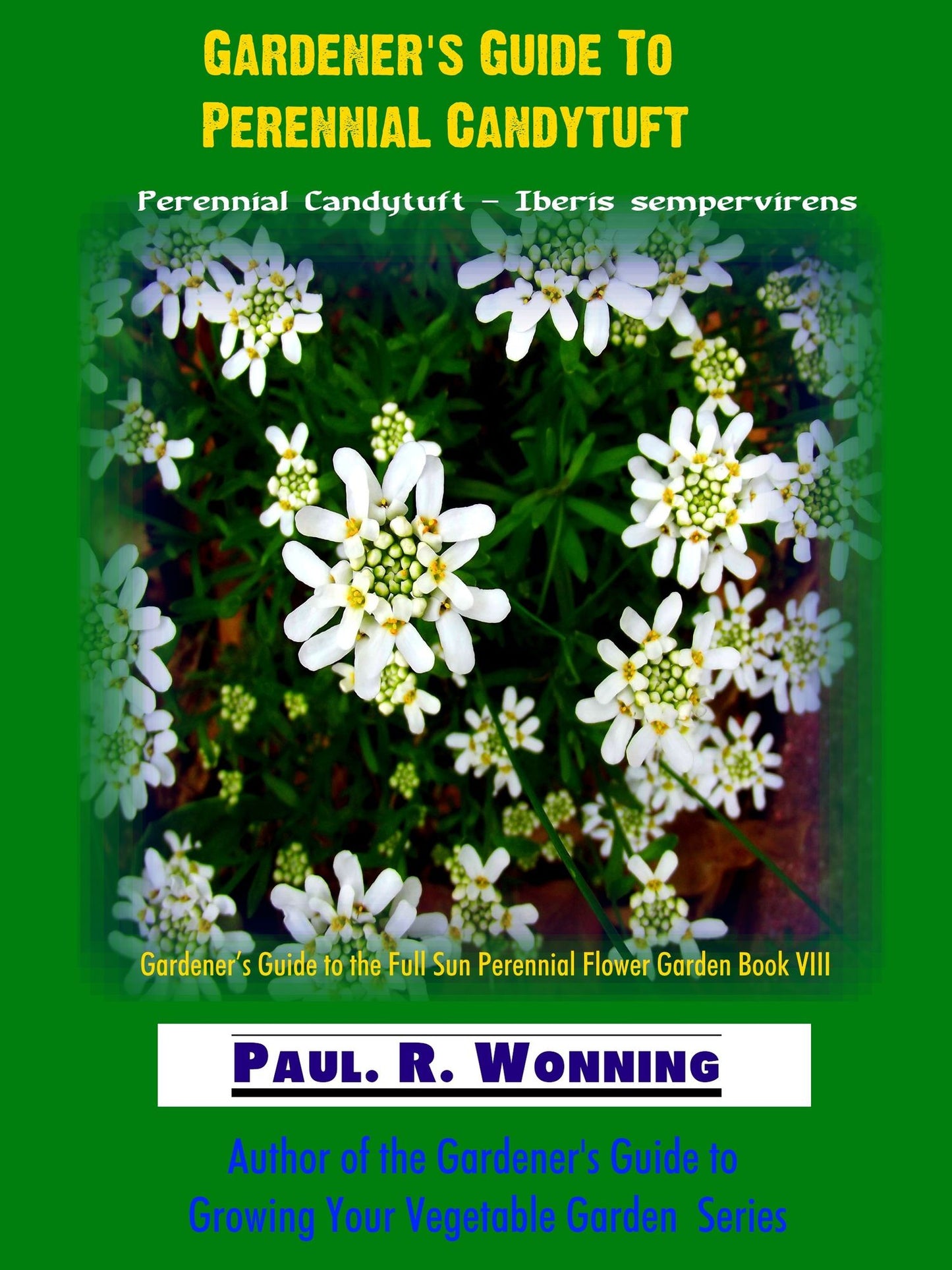 Gardener's Guide To Perennial Candytuft