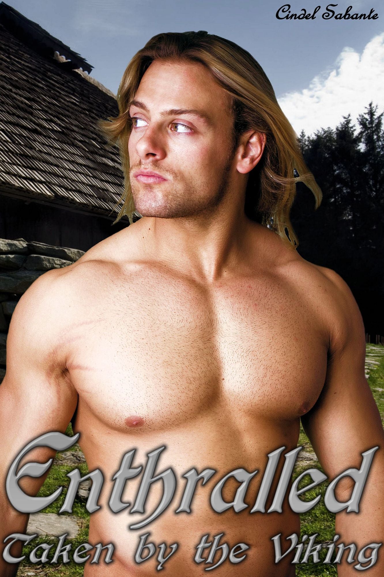 Enthralled: Taken by the Viking
