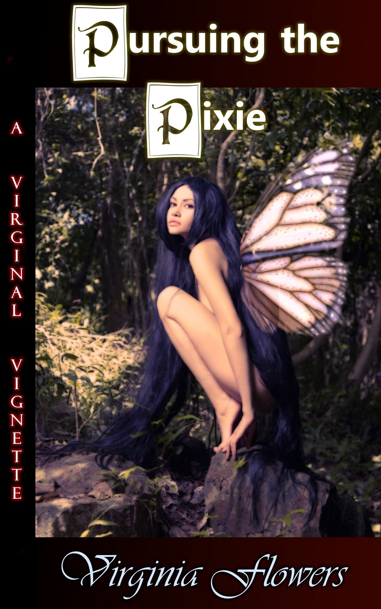 Pursuing the Pixie