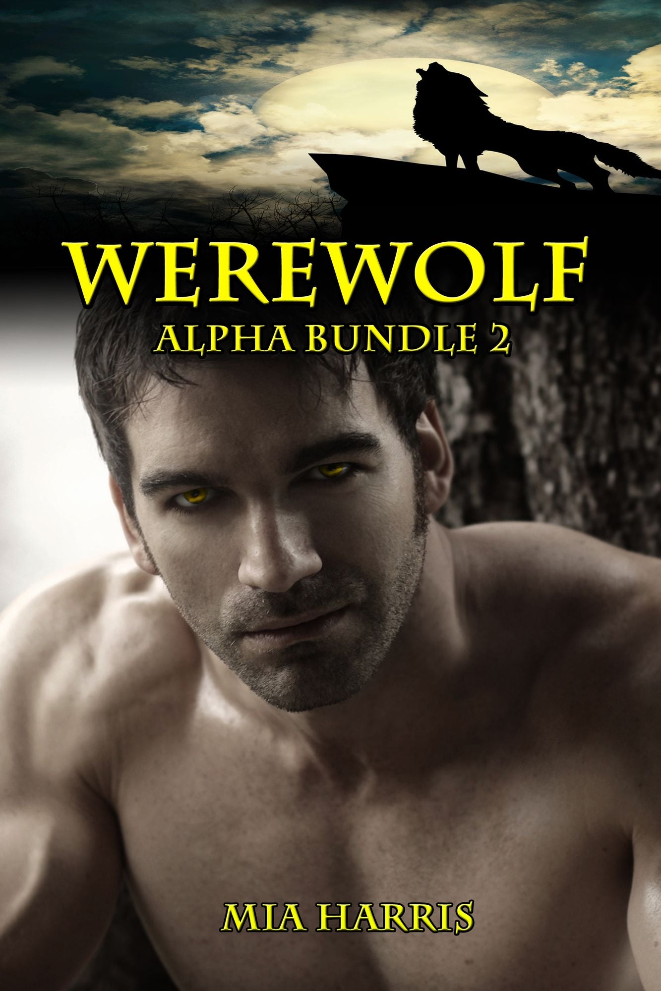 Werewolf Alpha Bundle 2 (7 BBW Paranormal Erotic Stories)