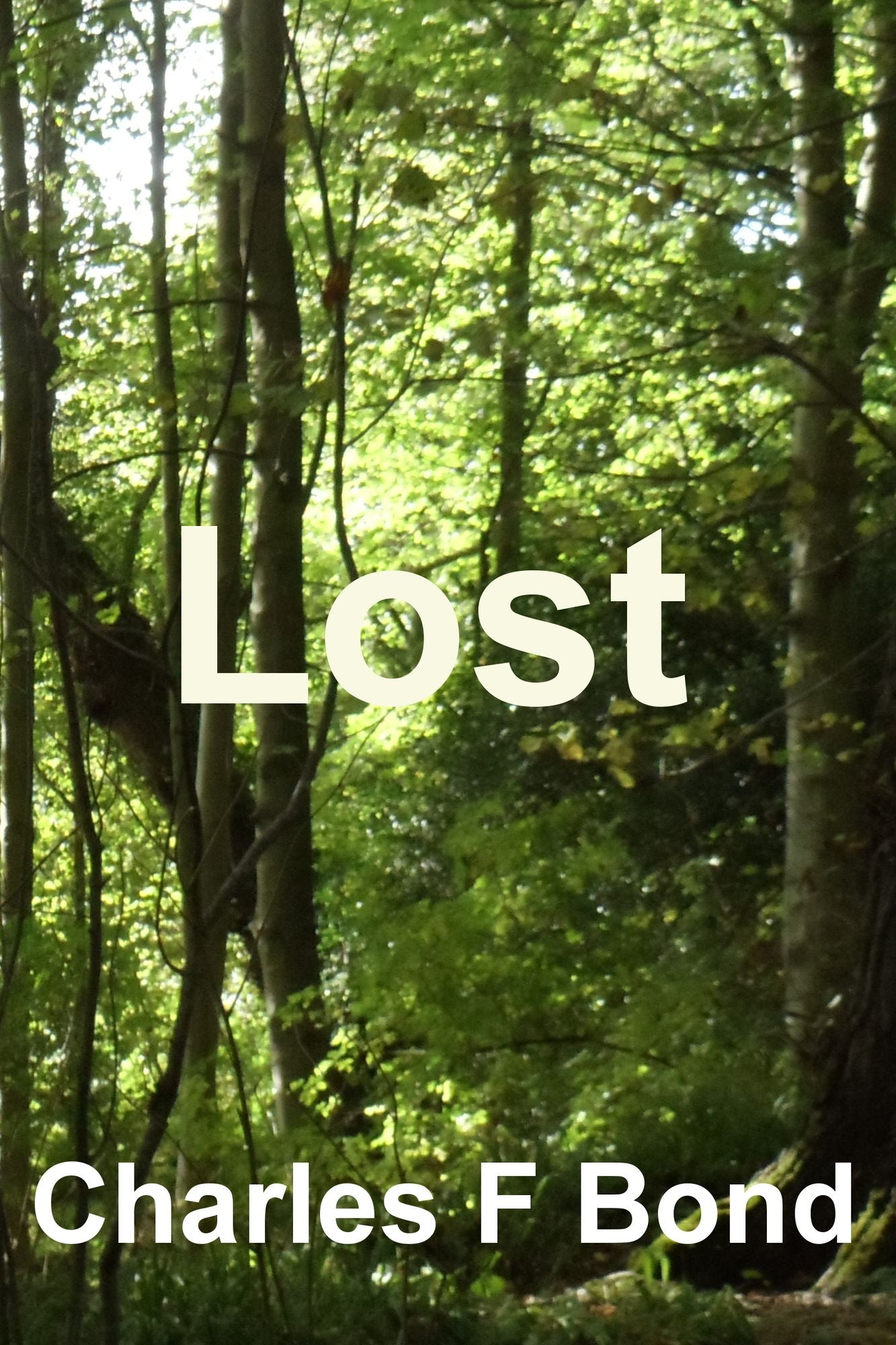 Lost