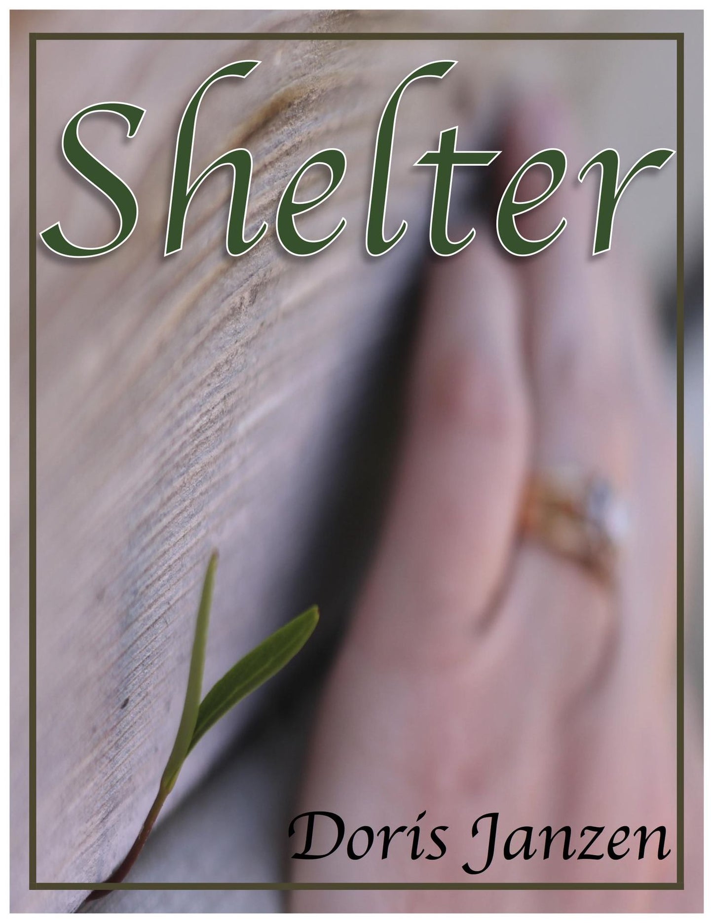 Shelter