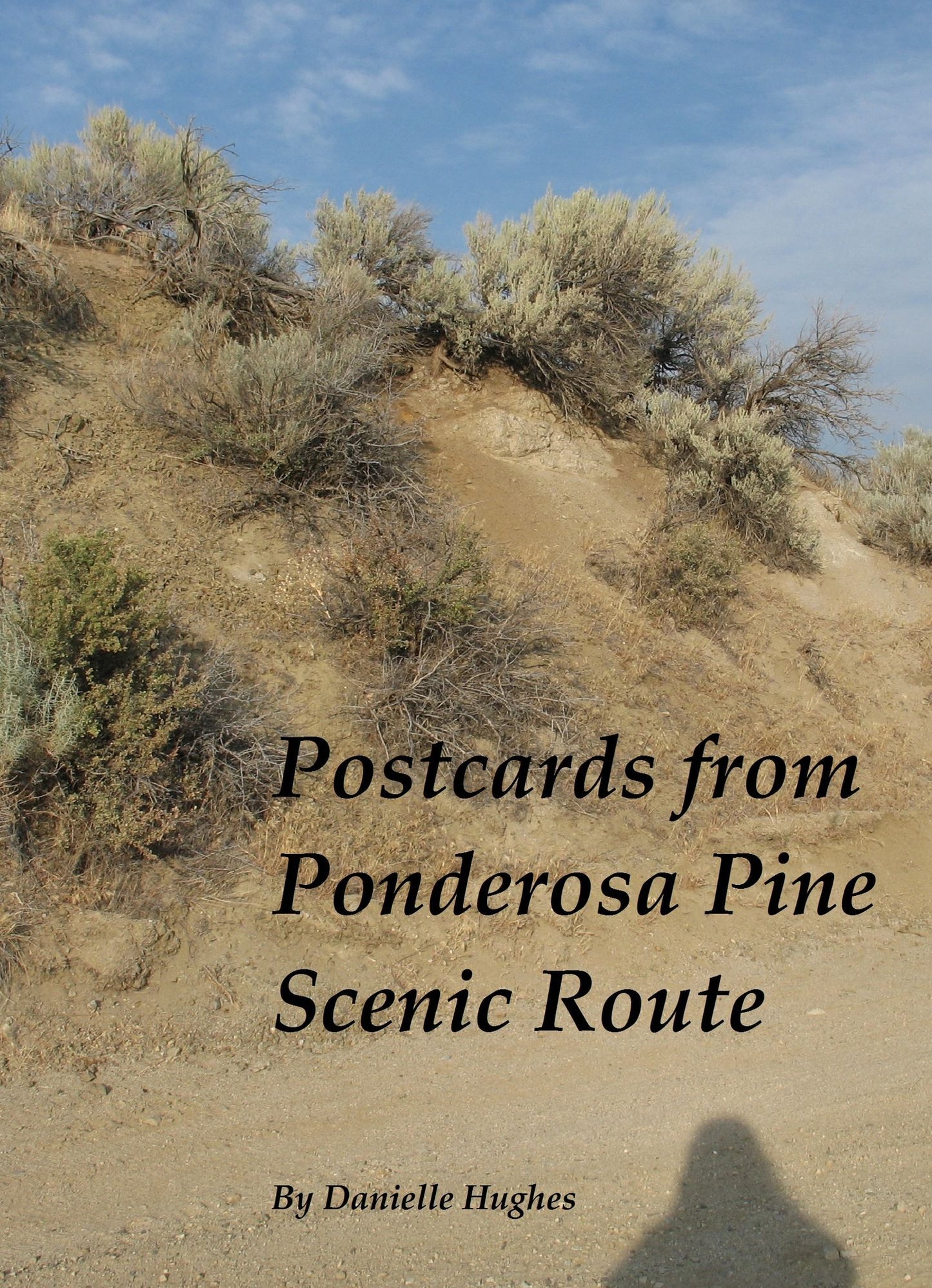 Postcards from Ponderosa Pine Scenic Route