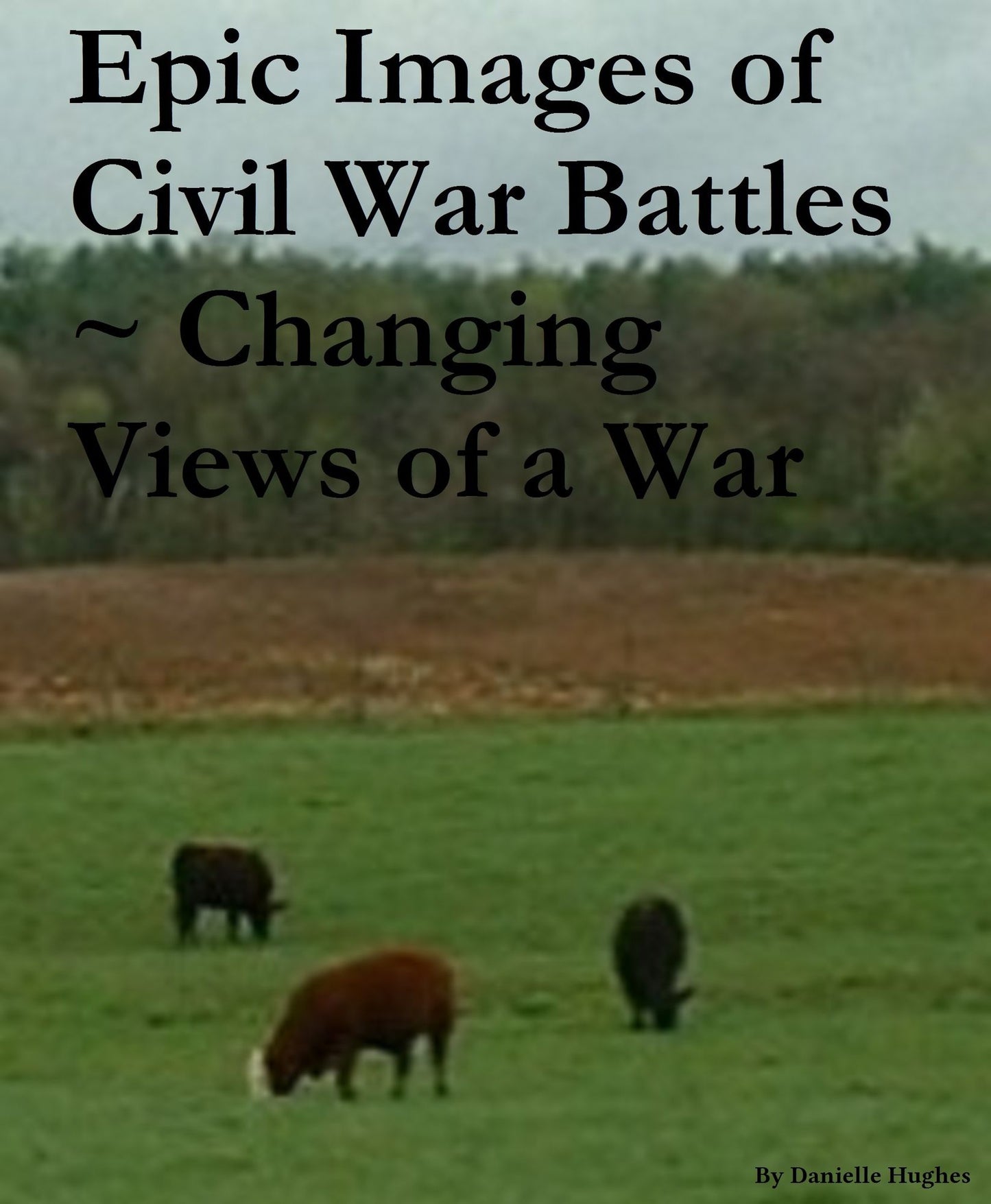 Epic Images of Civil War Battles ~ Changing Views of a War