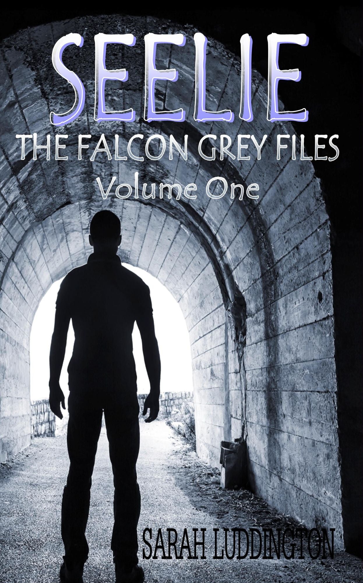Seelie: The Falcon Grey Files