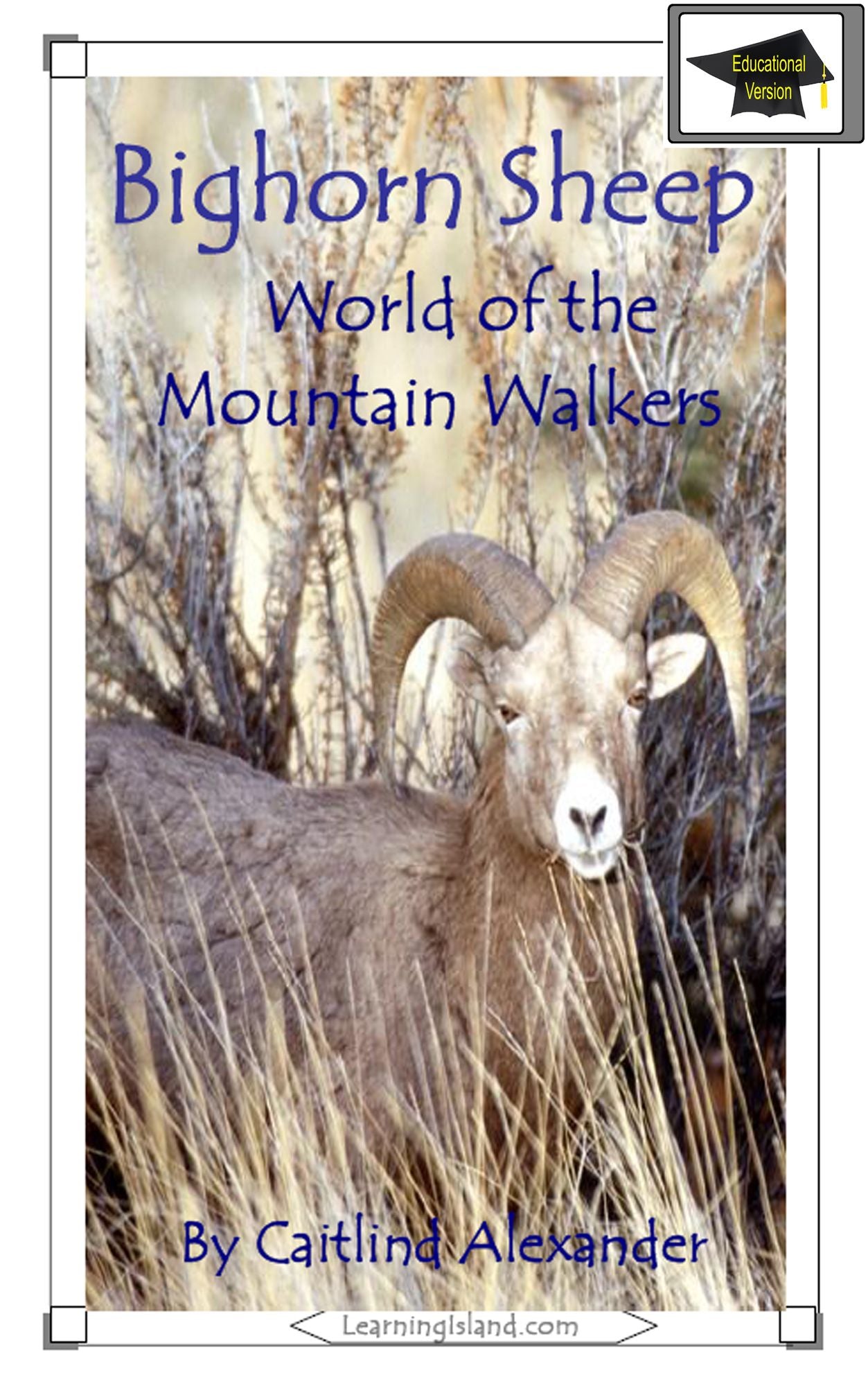Bighorn Sheep: World of the Mountain Walkers: Educational Version