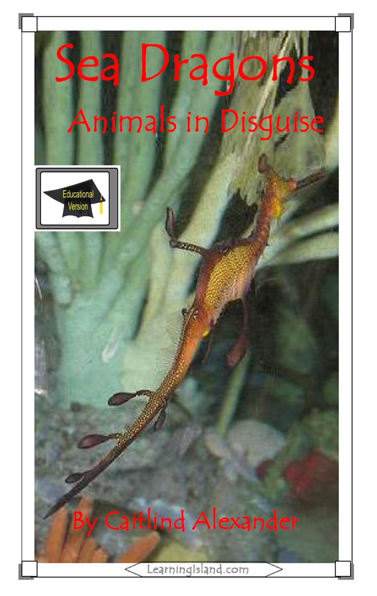 Sea Dragons: Animals in Disguise: Educational Version