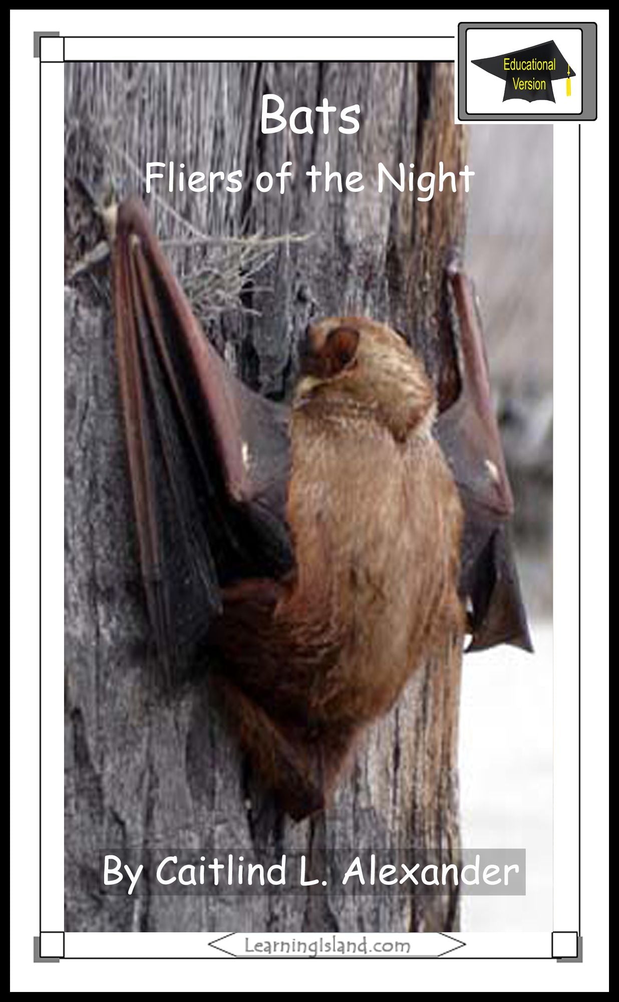 Bats: Fliers of the Night: Educational Version