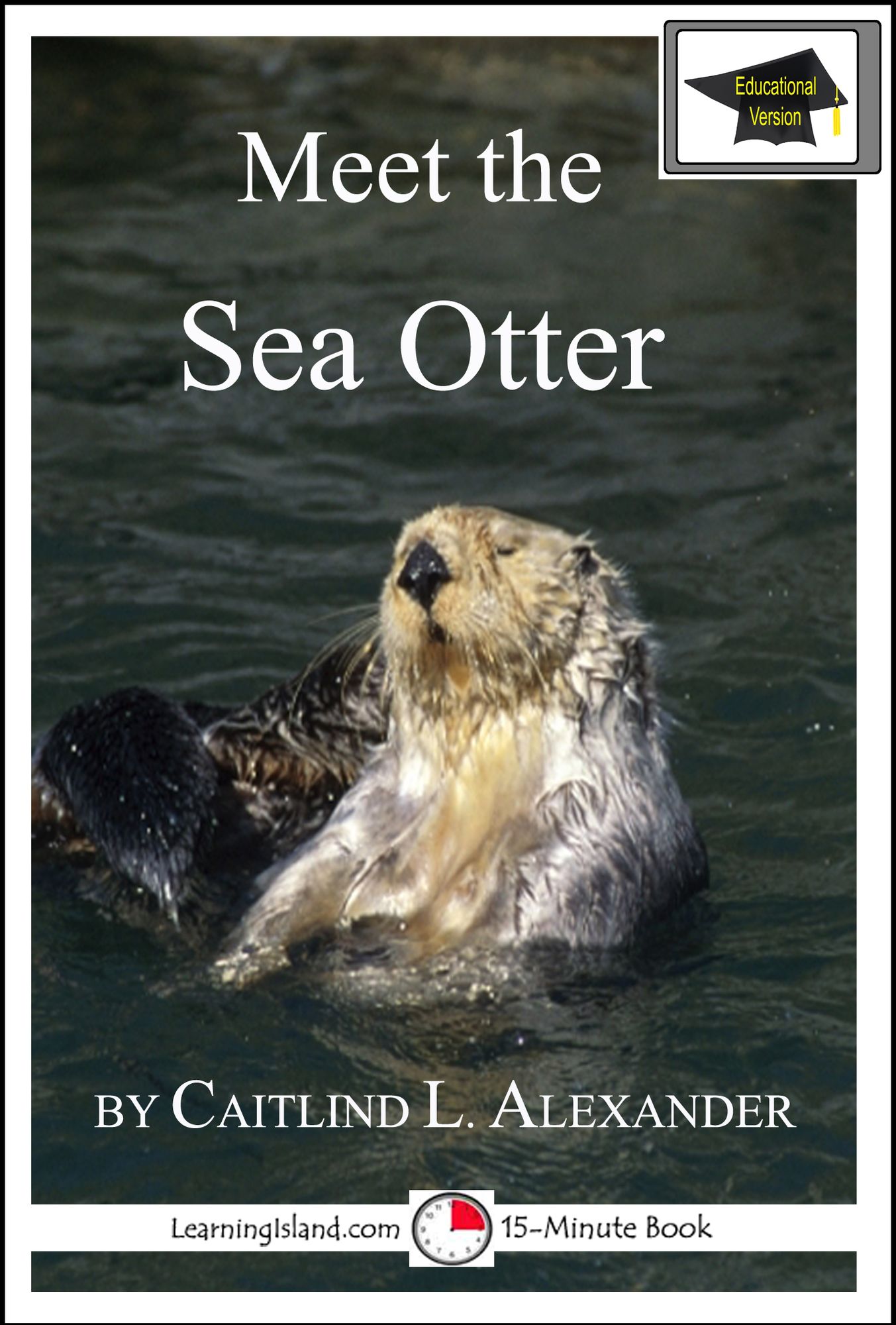 Meet the Sea Otter: Educational Version