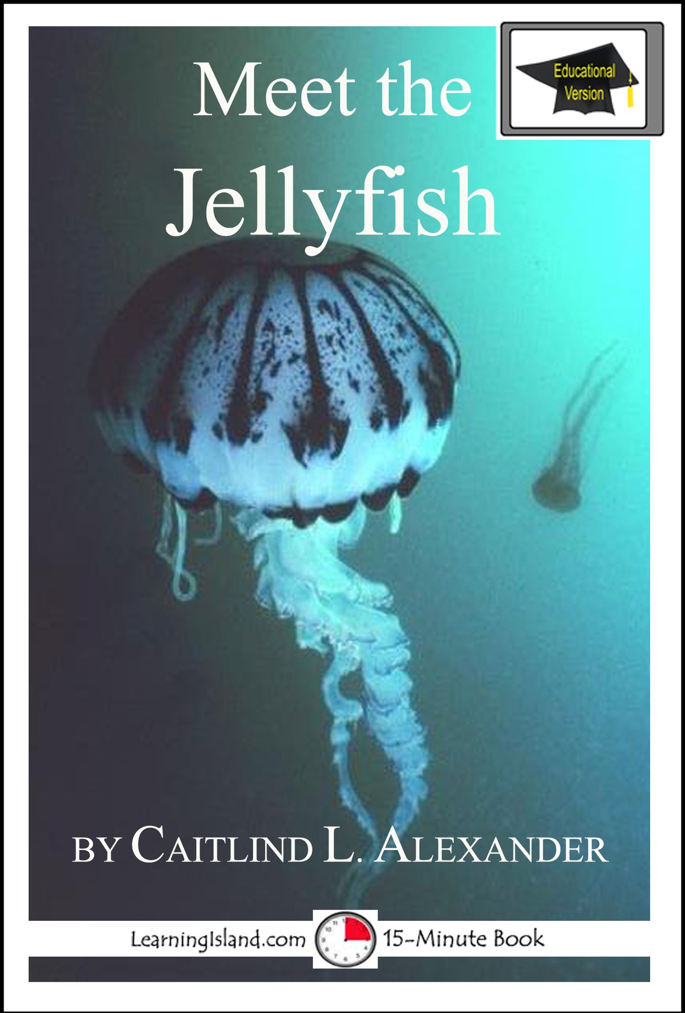 Meet the Jellyfish: Educational Version