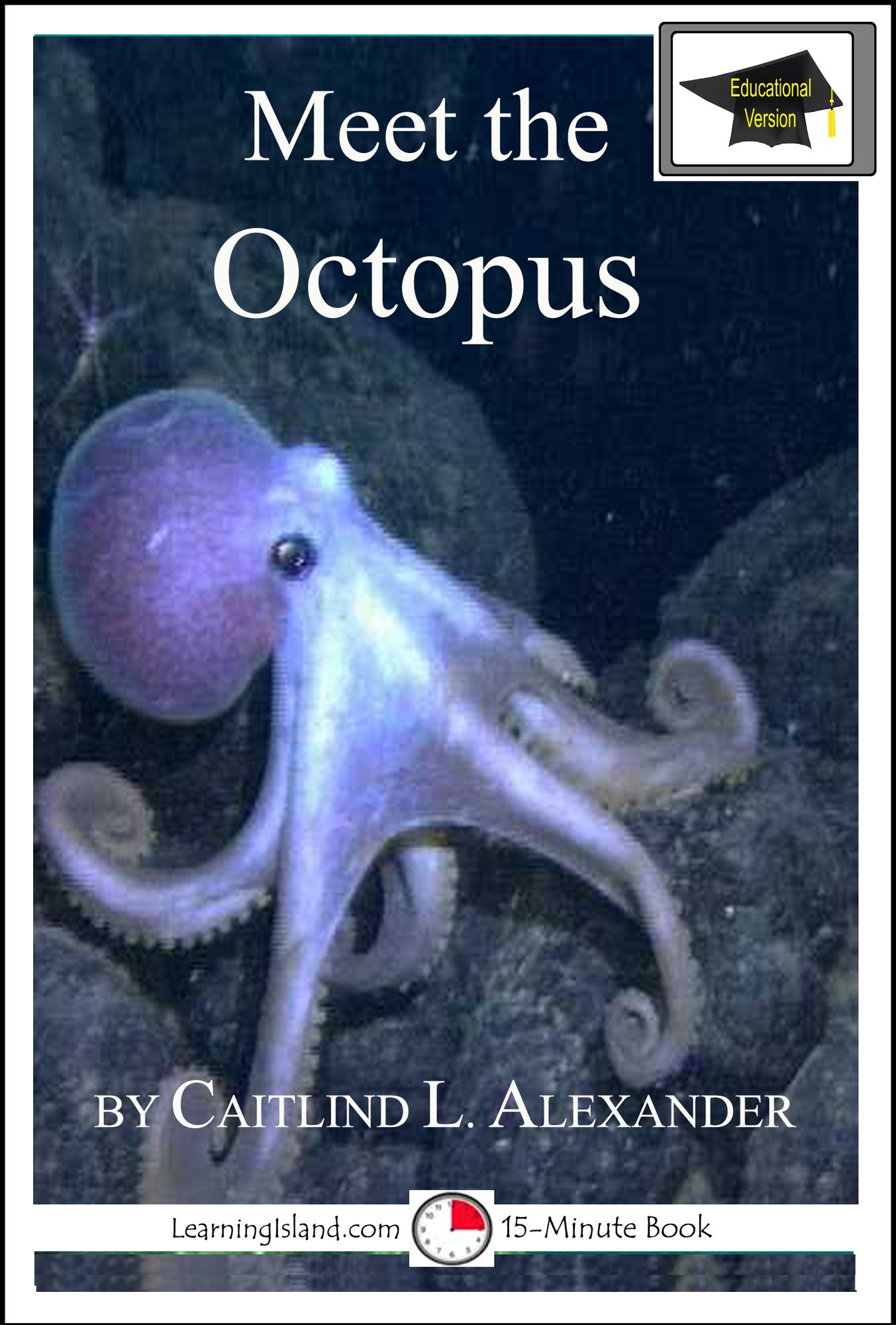 Meet the Octopus: Educational Version