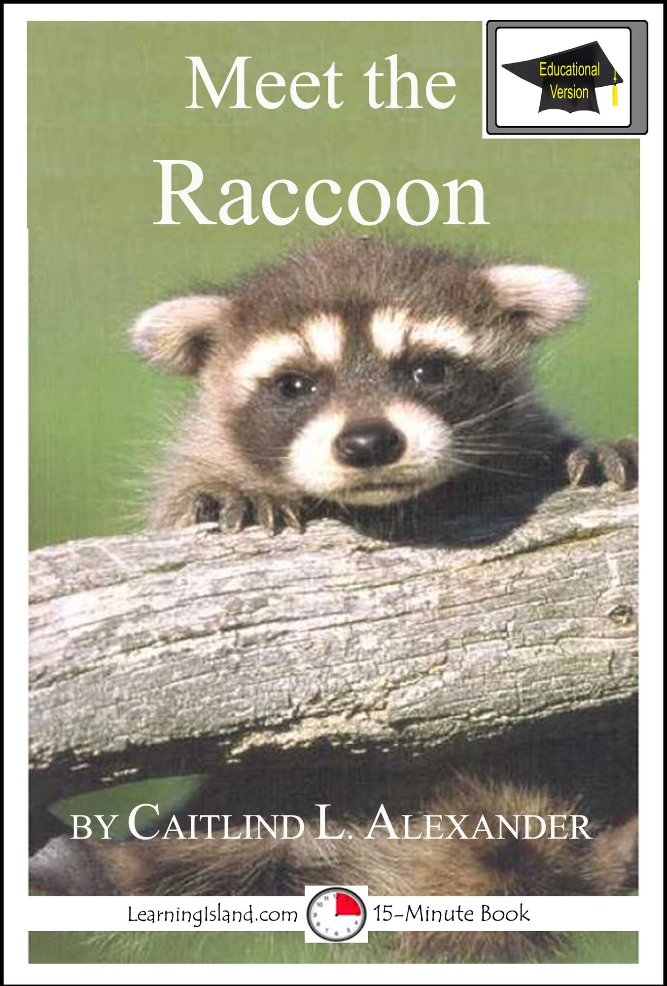 Meet the Raccoon: Educational Version