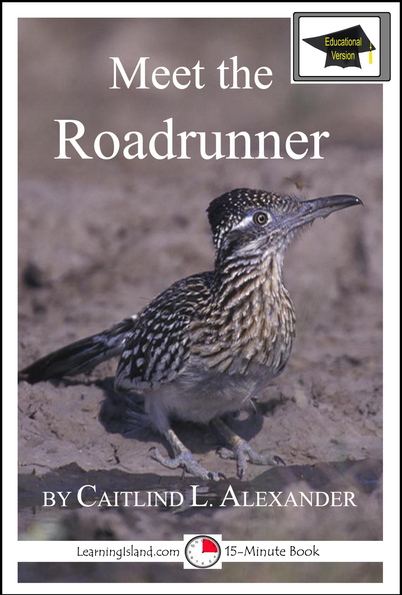 Meet the Roadrunner: Educational Version