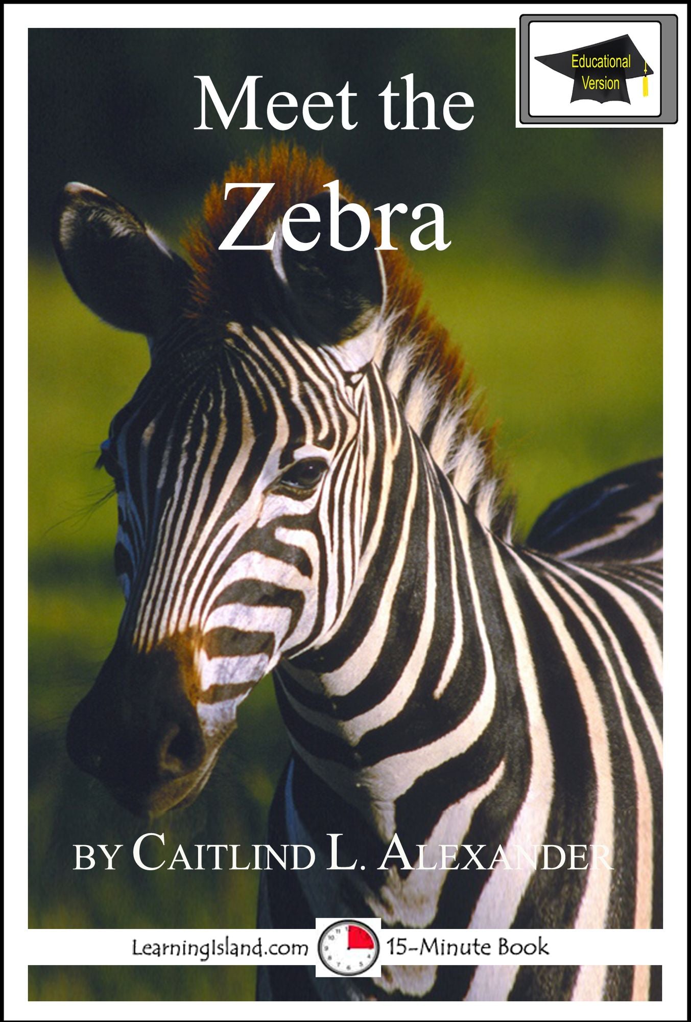 Meet the Zebra: Educational Version