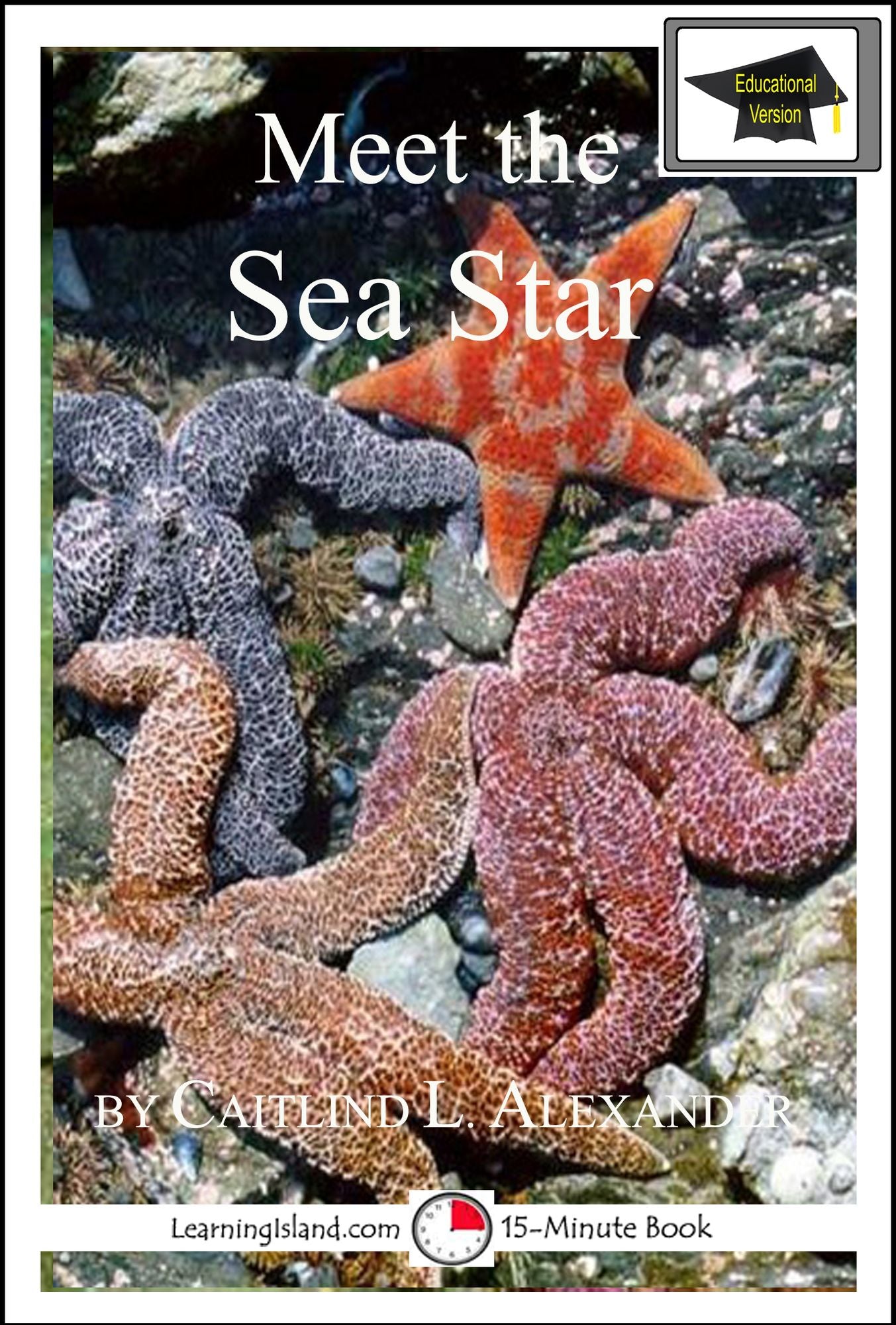 Meet the Sea Star: Educational Version