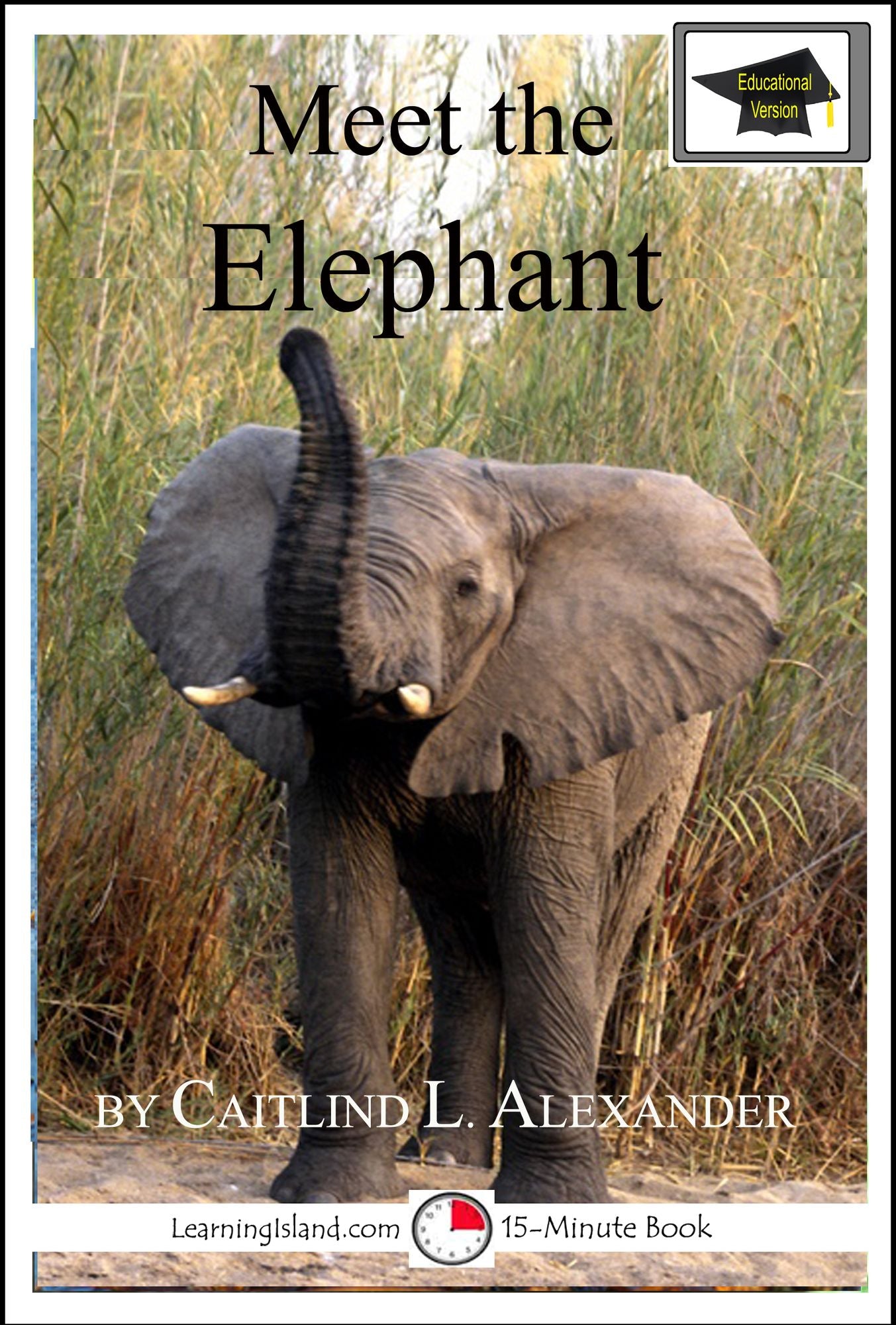 Meet the Elephant: Educational Version