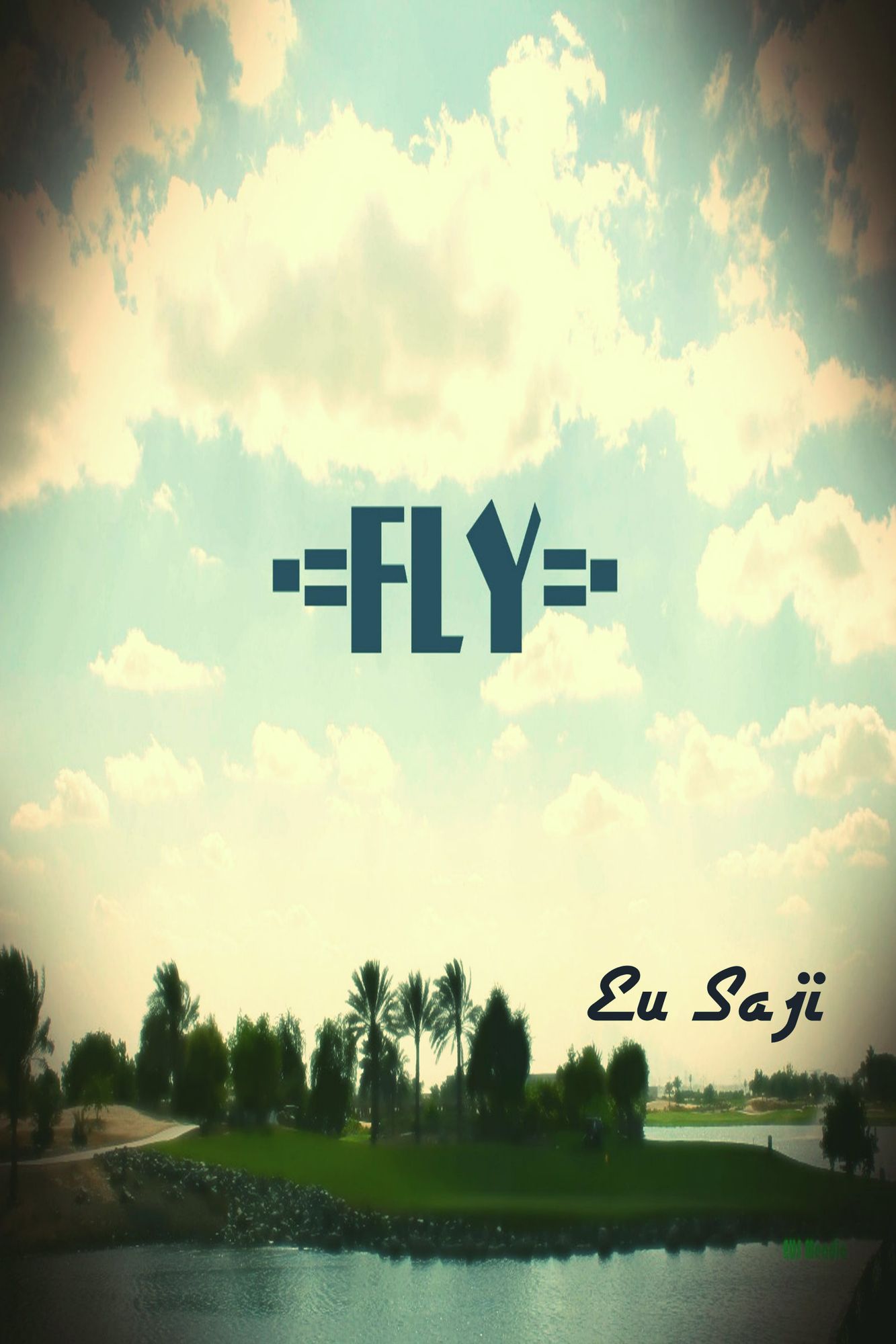 Fly