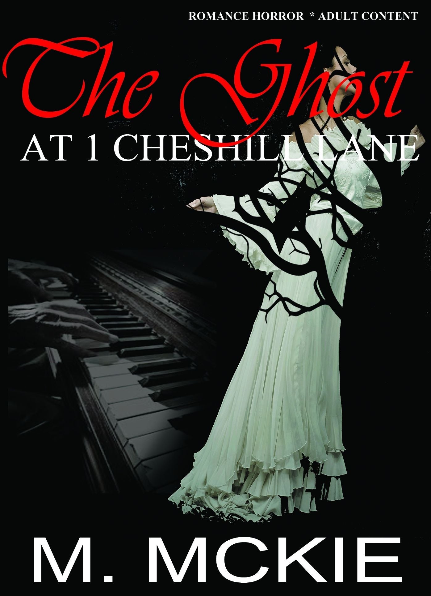 The Ghost at 1 Cheshill Lane