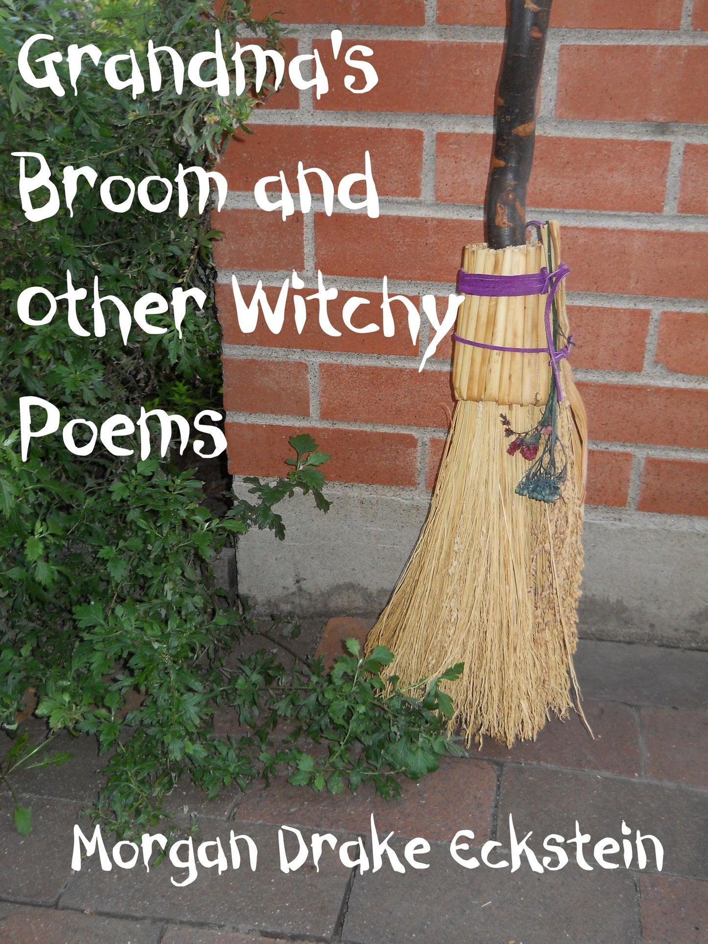 Grandma's Broom and Other Witchy Poems