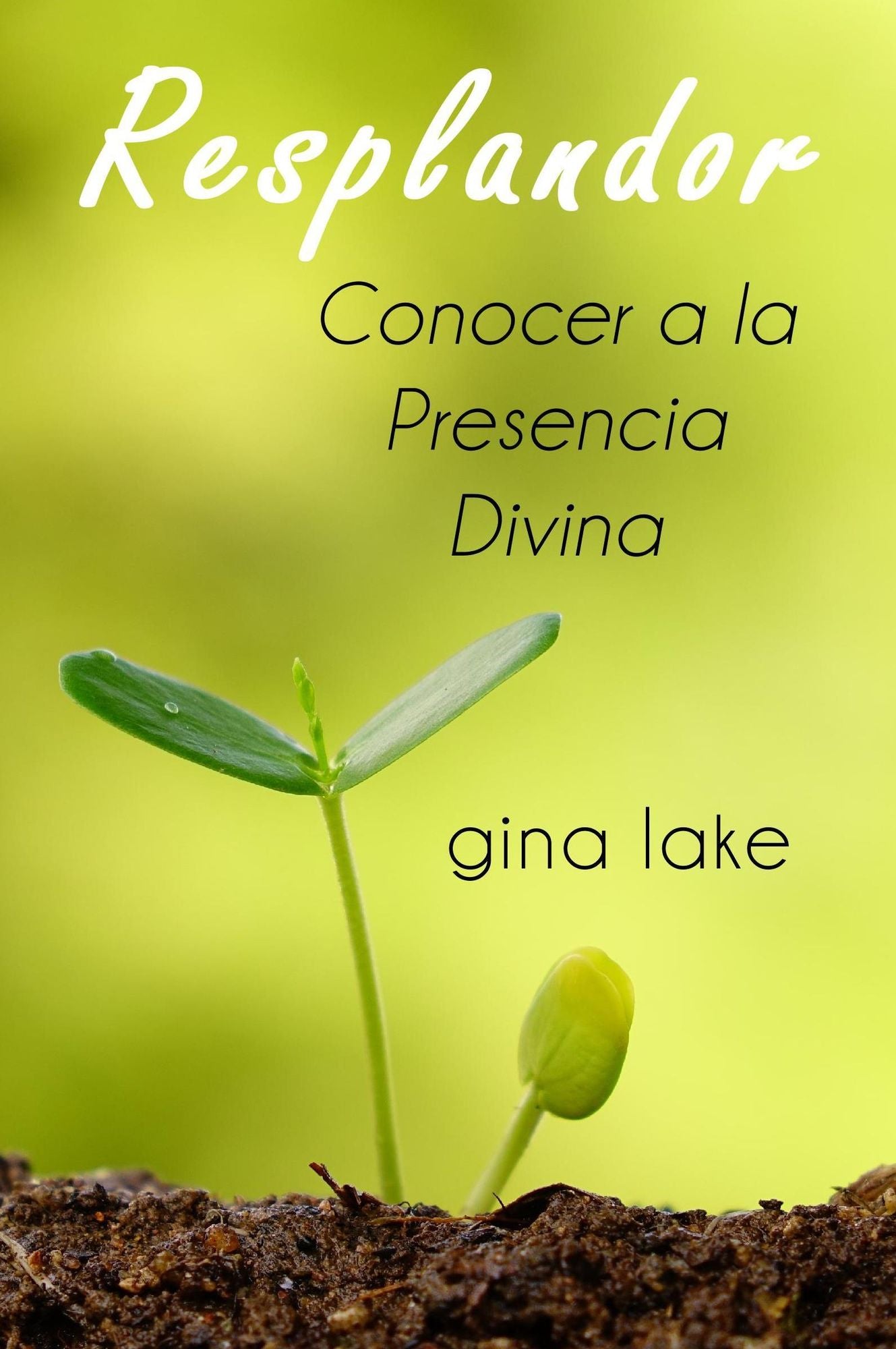 Resplandor: Conocer a la Presencia Divina
