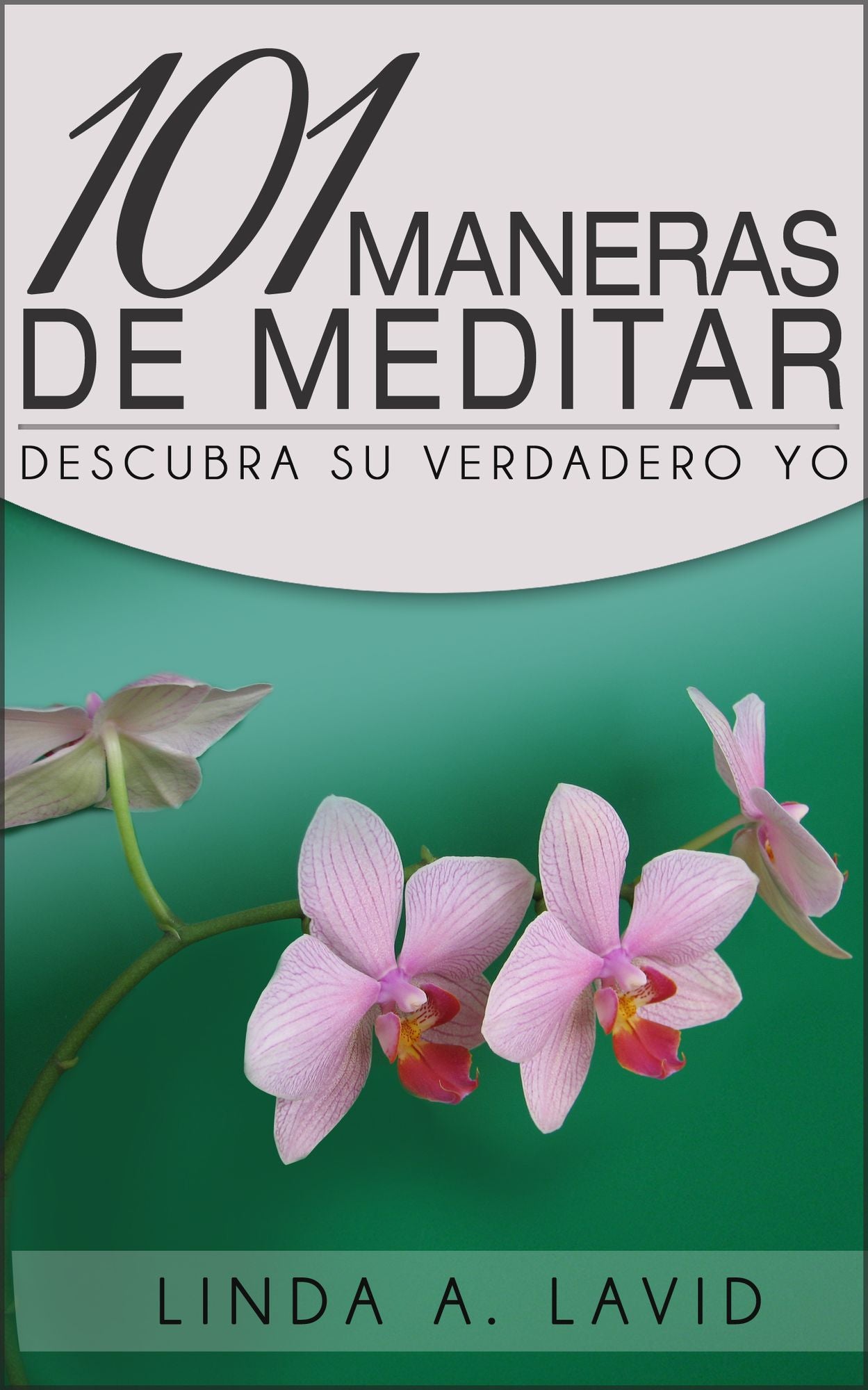 101 Maneras de Meditar: Descubra su Verdadero Yo