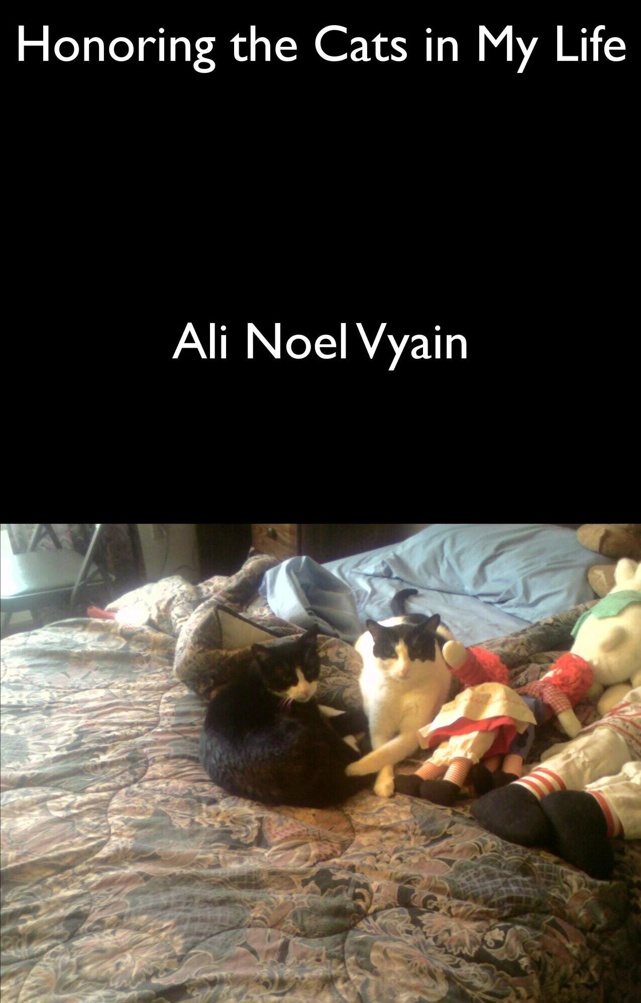 Honoring the Cats in My Life (Poetry)