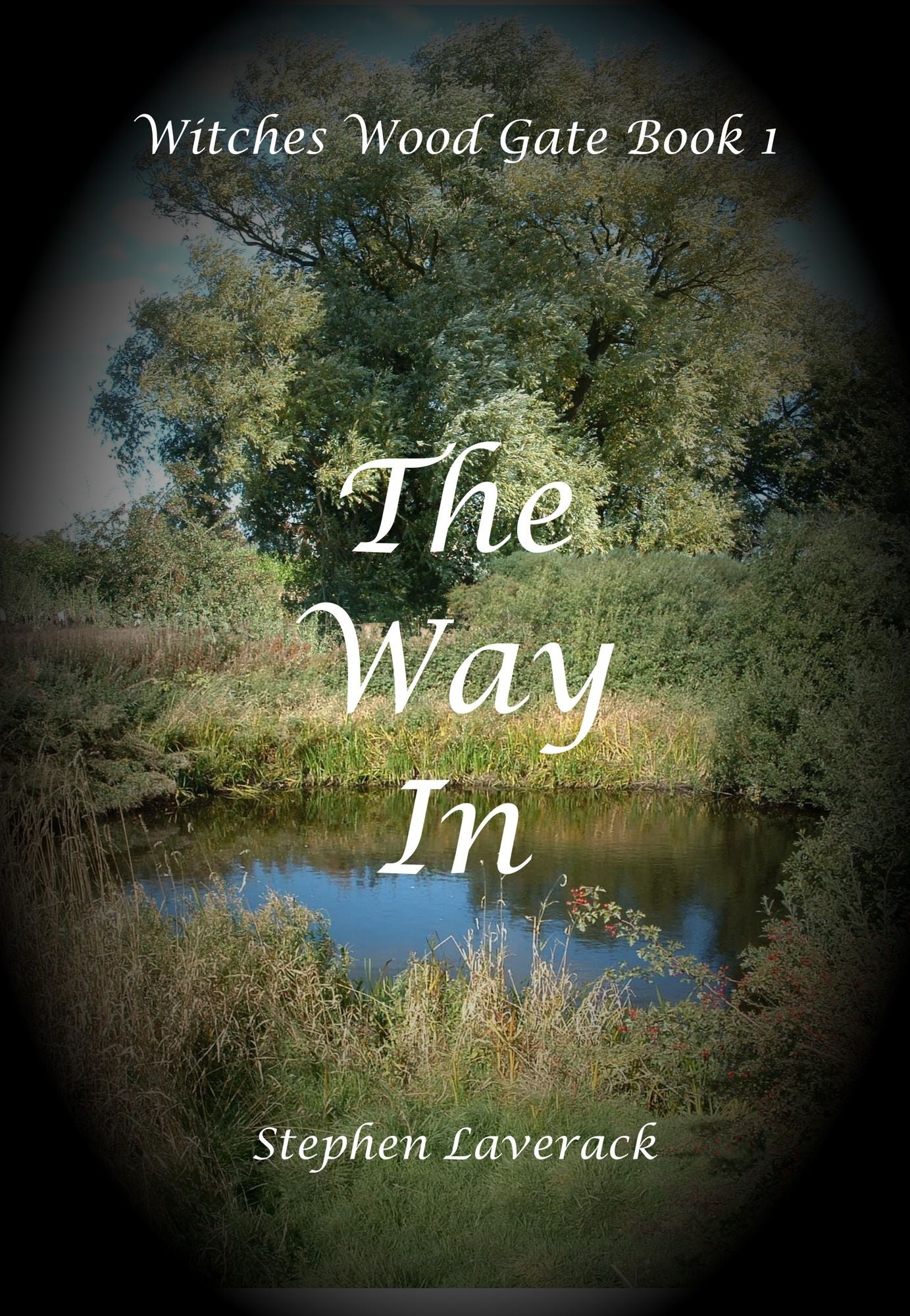 The Way In