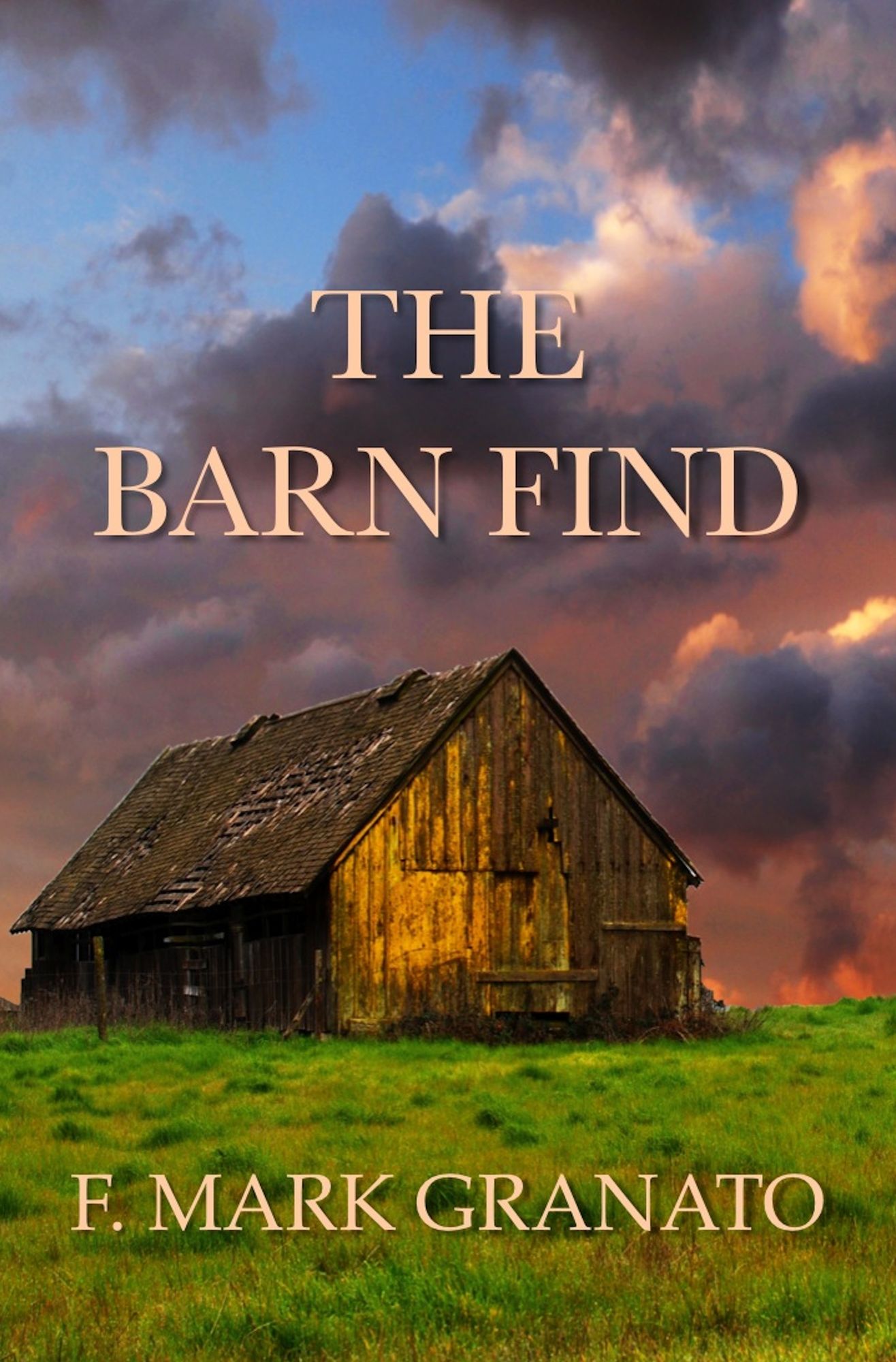 The Barn Find