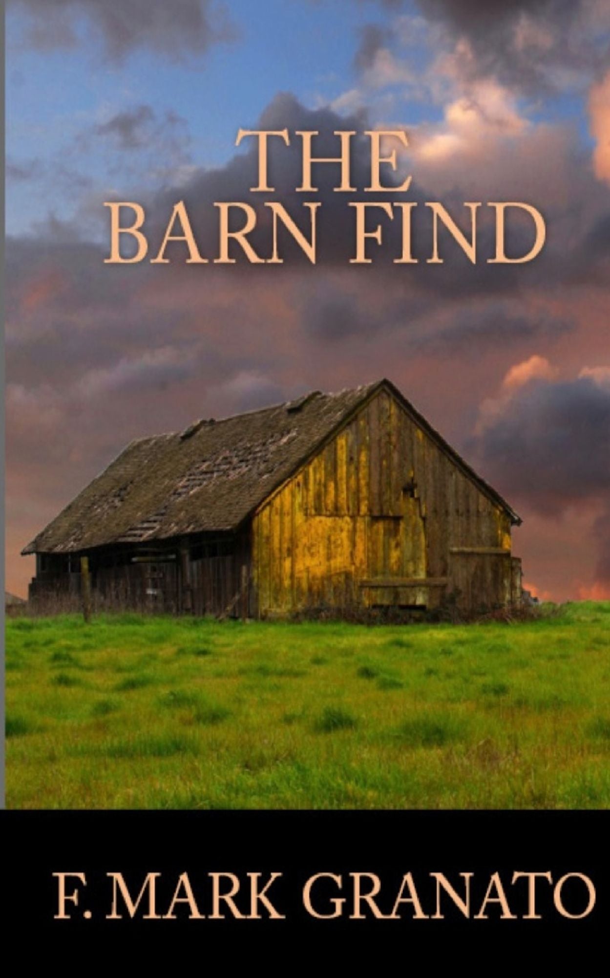 The Barn Find