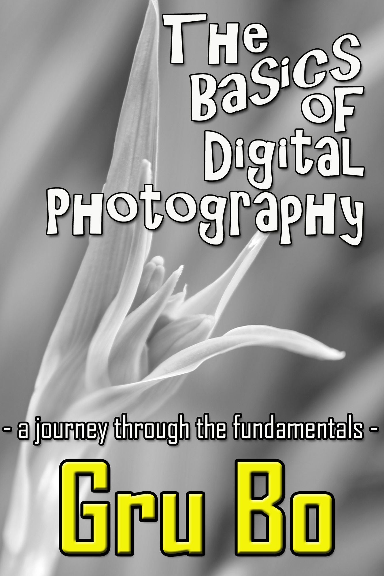 The Basics of Digital Photography: A Journey Through The Fundamentals