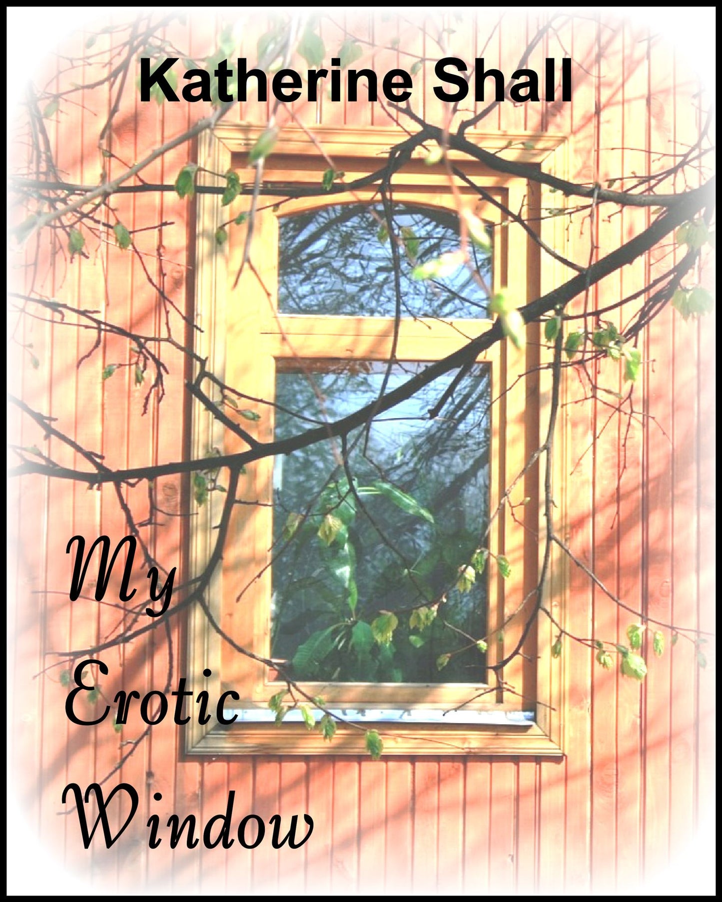 My Erotic Window