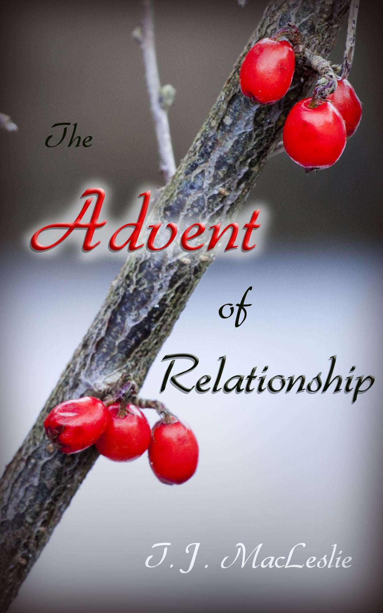 The Advent of Relationship: 2013 Edition