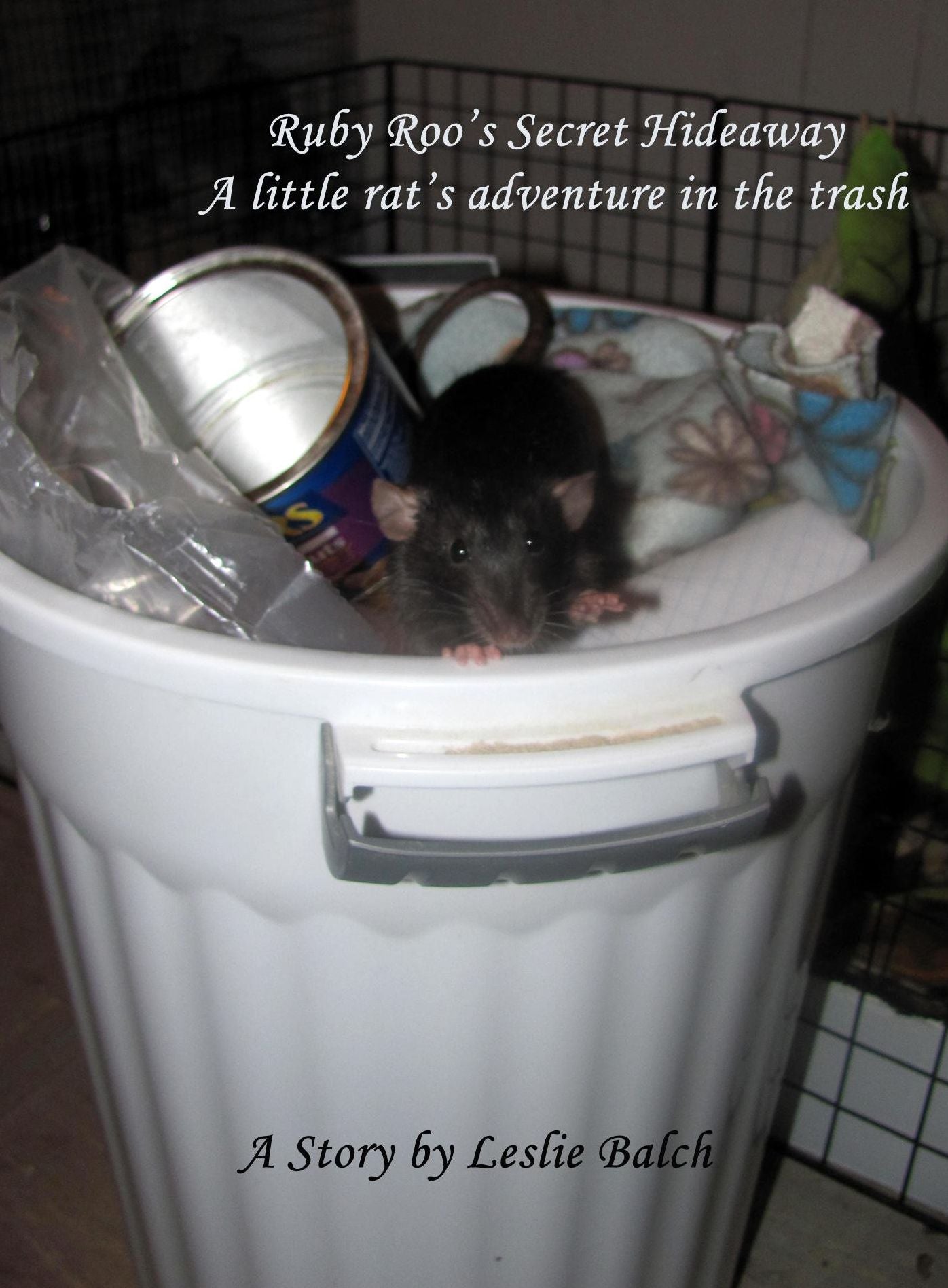 Ruby Roo's Secret Hideaway: A Little Rat's Adventure in the Trash
