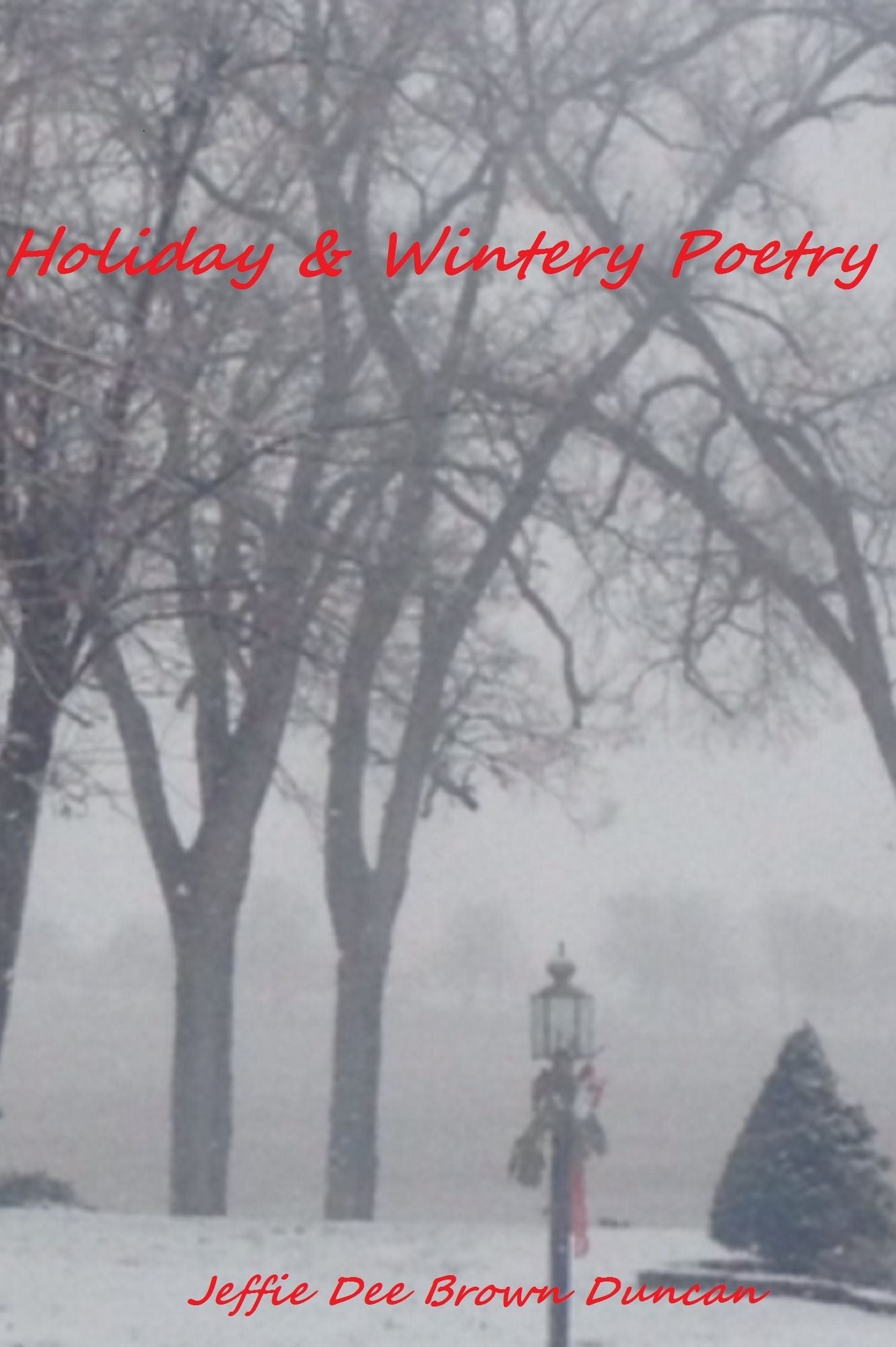 Holiday & Wintery Poetry