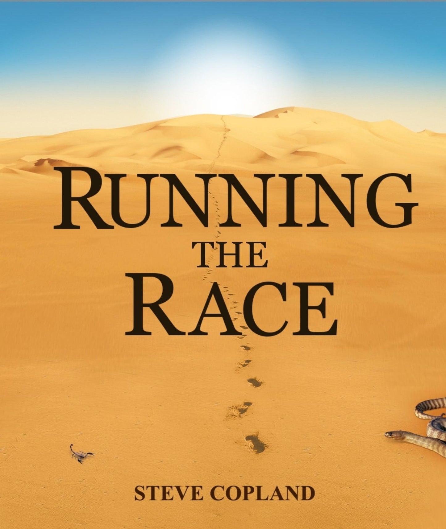 Running The Race