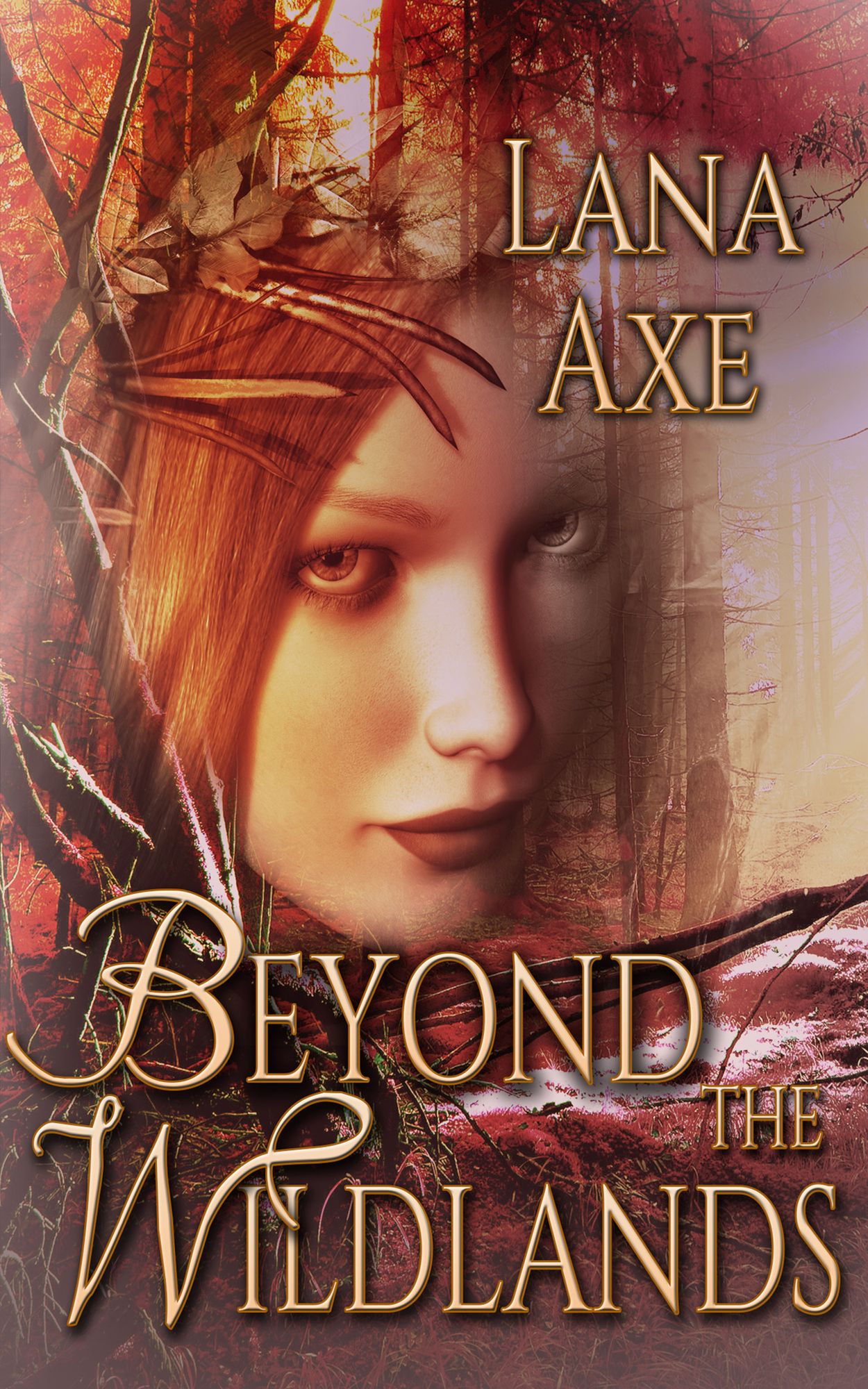 Beyond the Wildlands