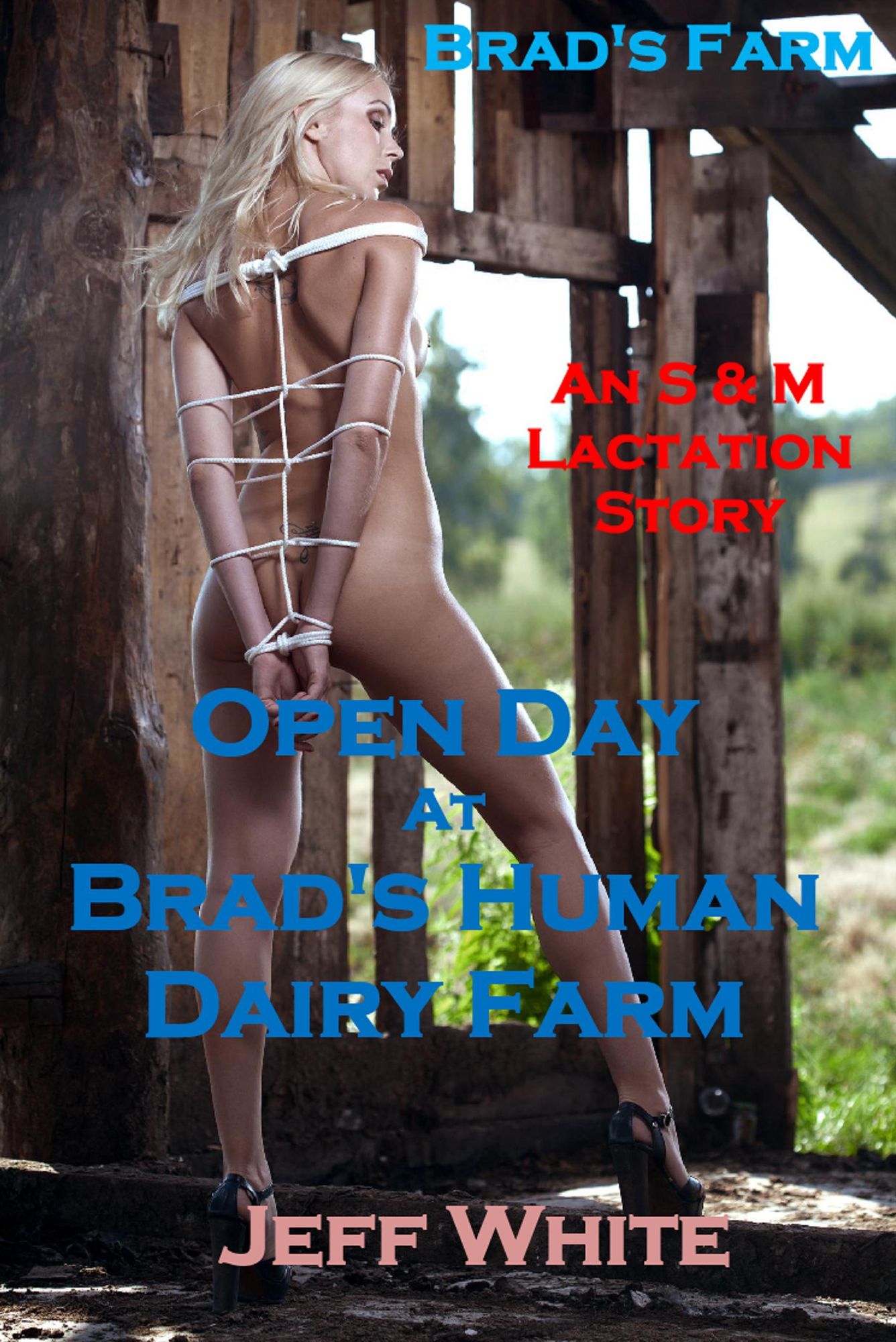 Open Day at Brad's Human Dairy Farm