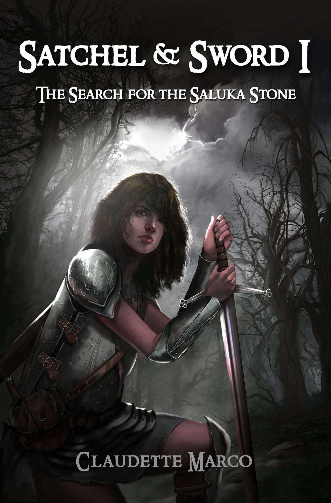 Satchel & Sword I: The Search for the Saluka Stone