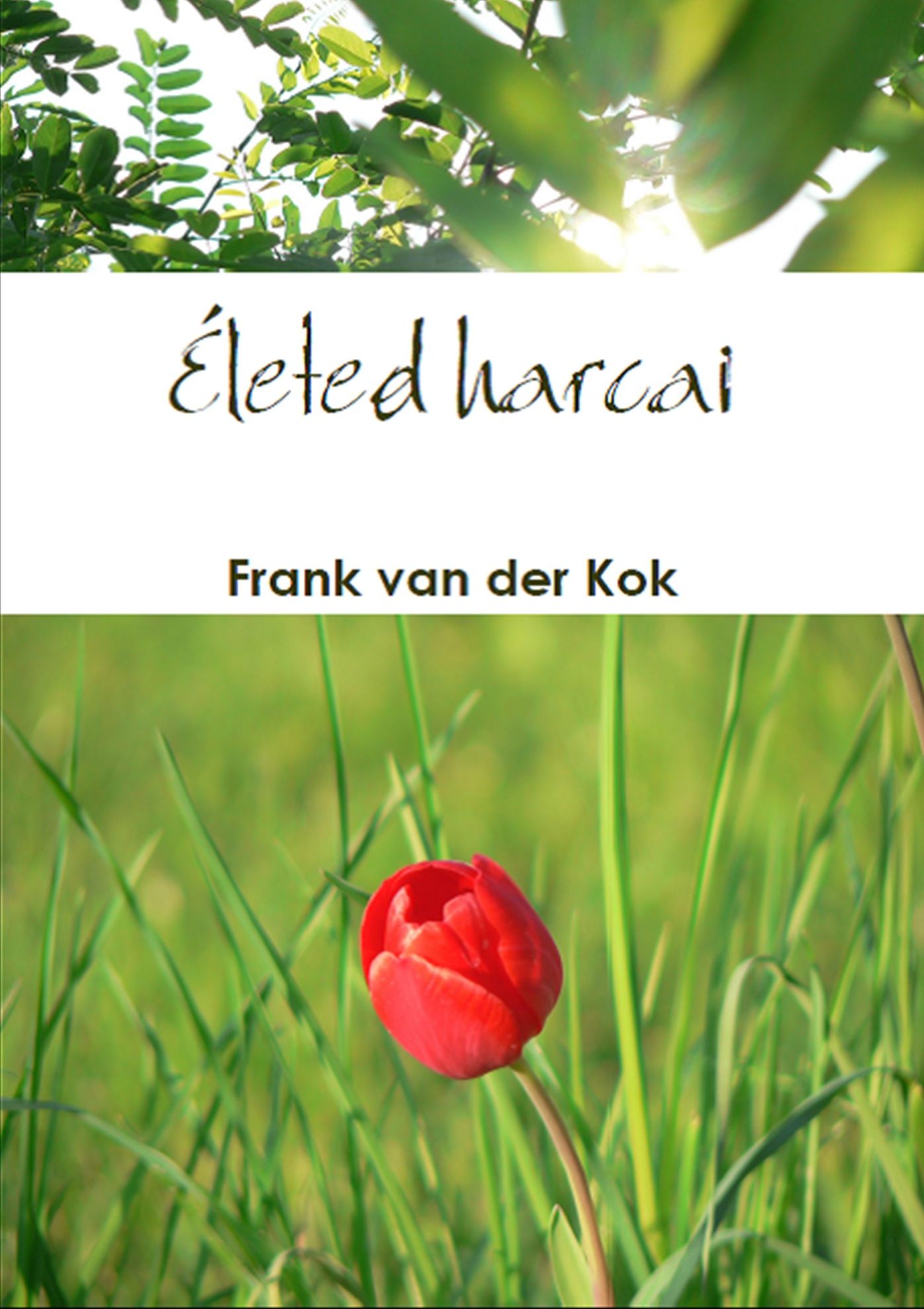 Életed harcai
